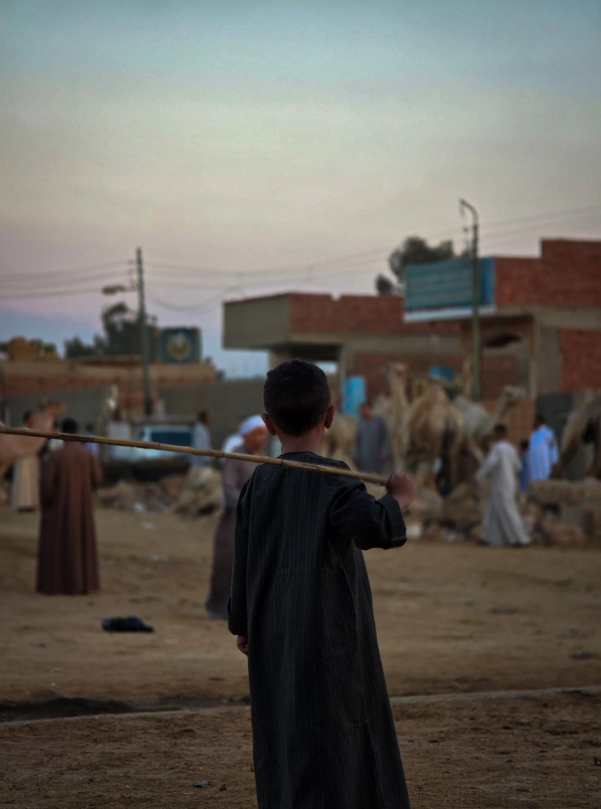 A nomadic Middle Eastern landscape — boy with camels