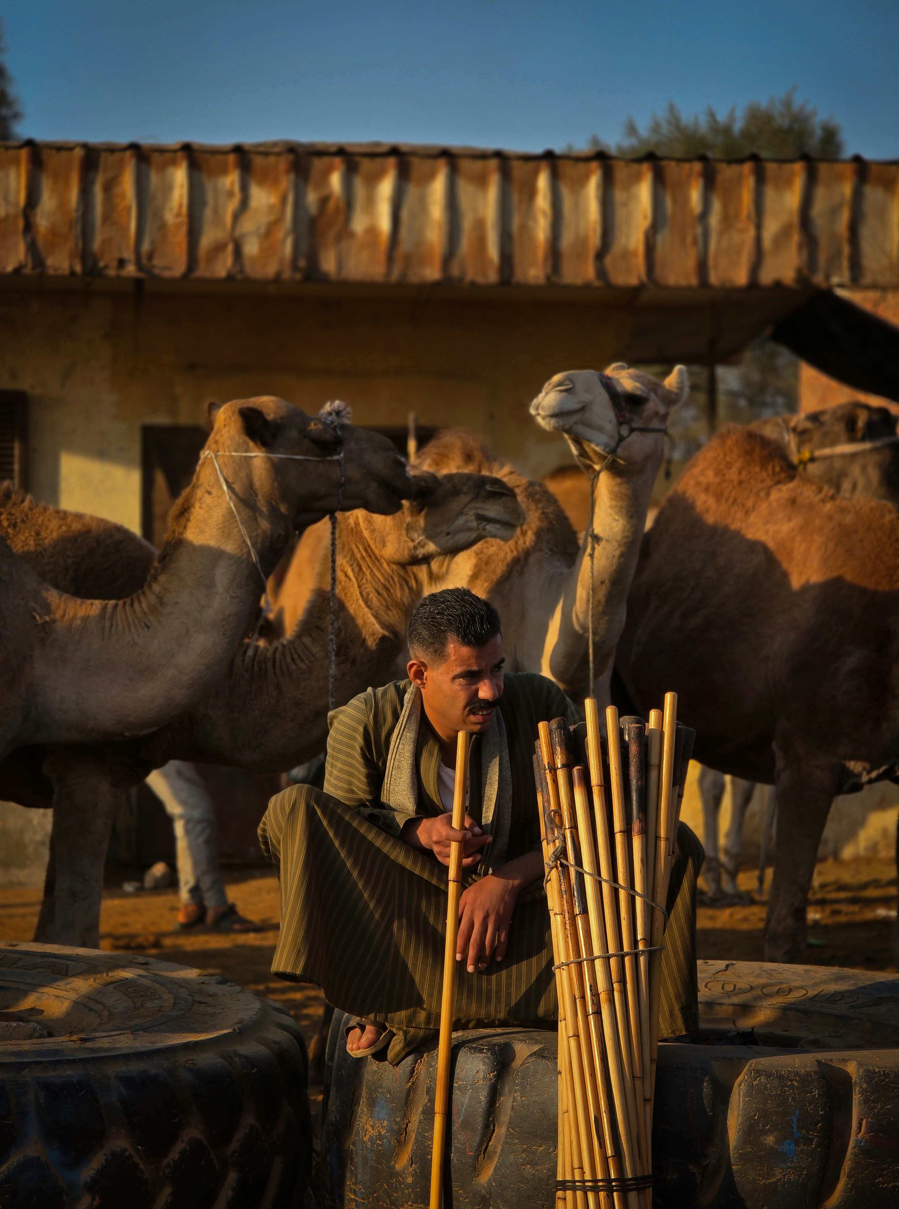 Man with camels at a marketplace