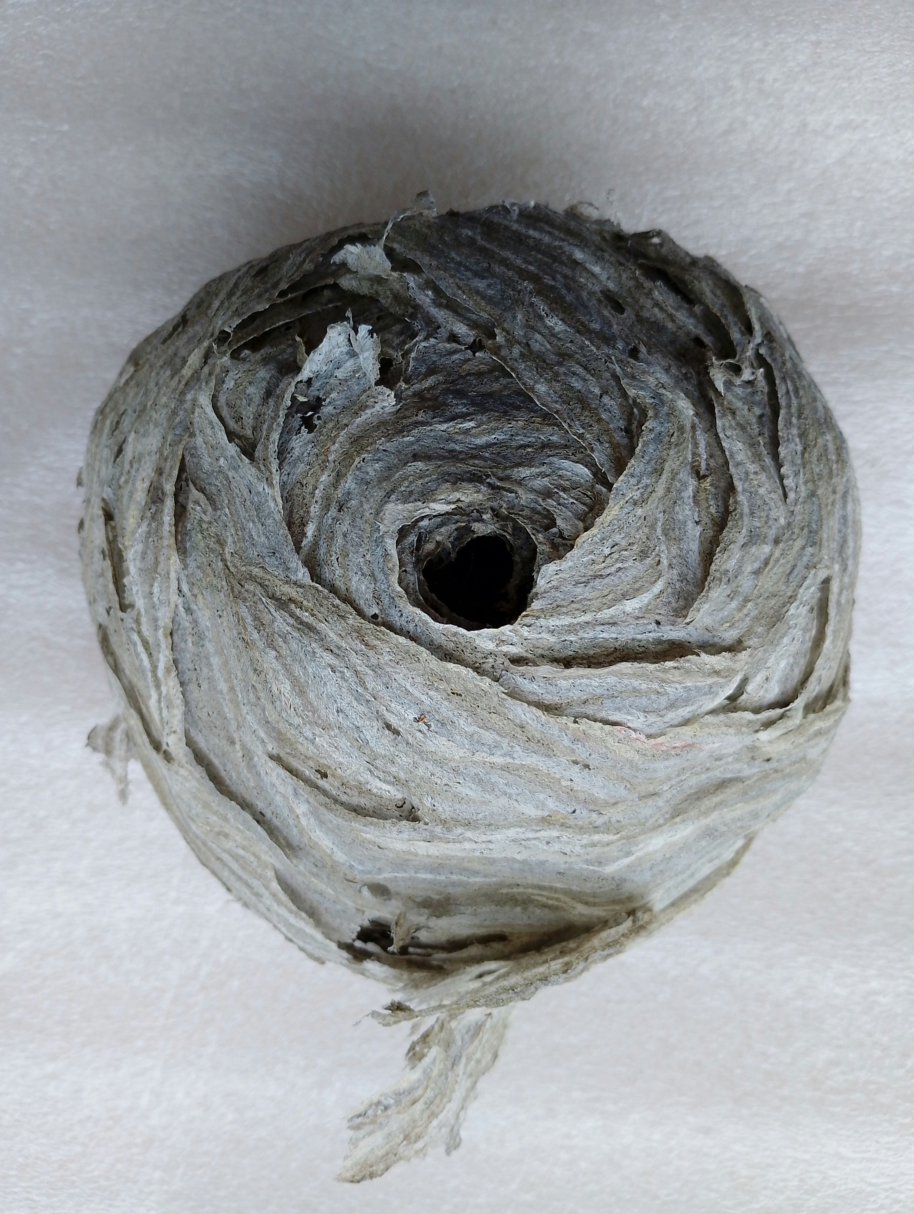 Photo by imogenfurlong17