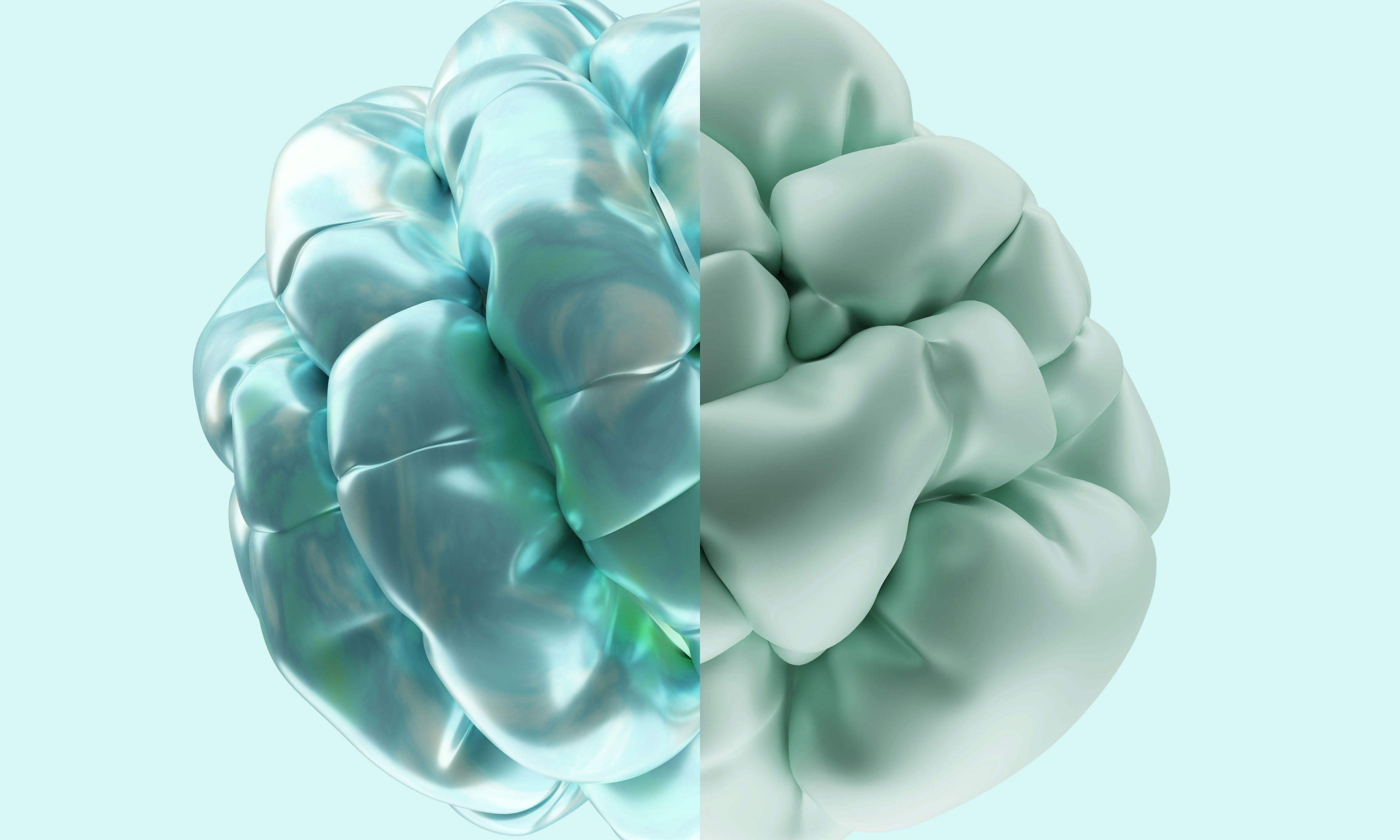 Oxalates and Anxiety: The Biochemical Connection Explained