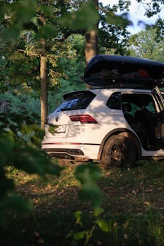 White suv parked in a forest with roof cargo carrier.