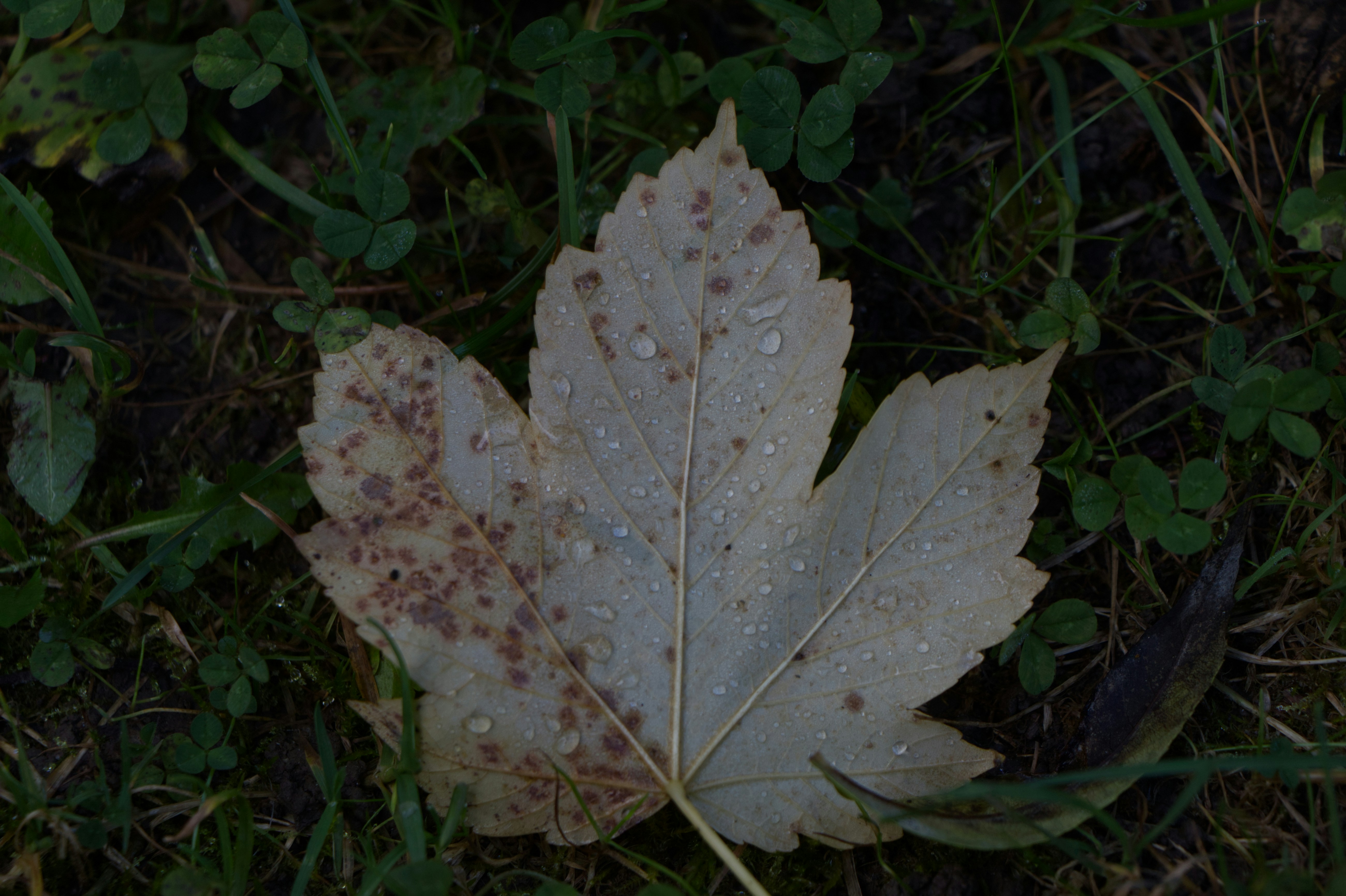 Photo by spaceboundstudio