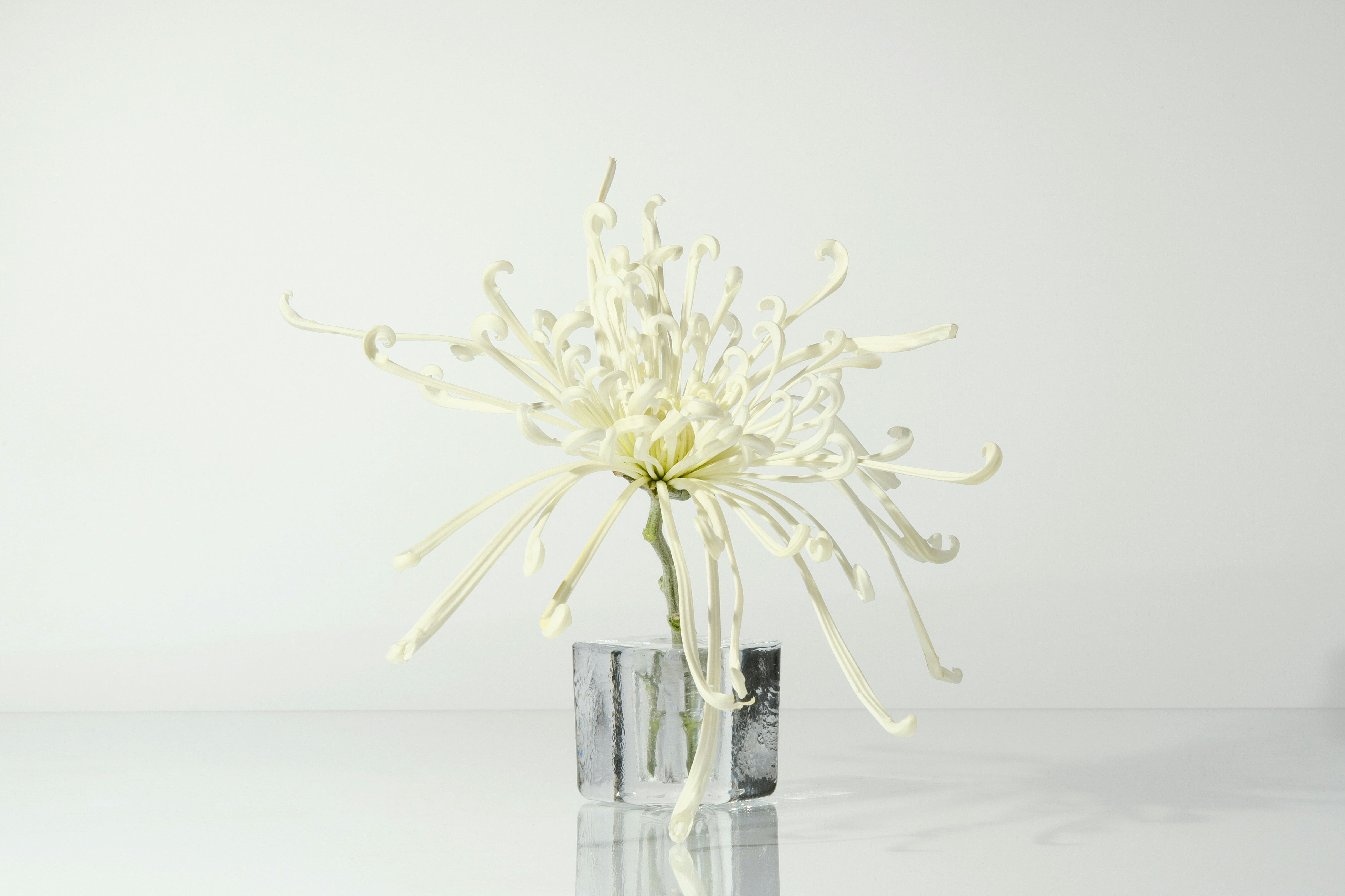 Just How Child Therapy Assists With Anxiousness, Actions, And Emotional Growth