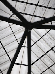 Abstract geometric pattern of dark metal beams on ceiling.