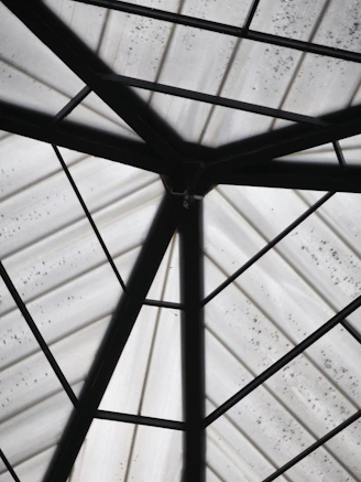 Abstract geometric pattern of dark metal beams on ceiling.