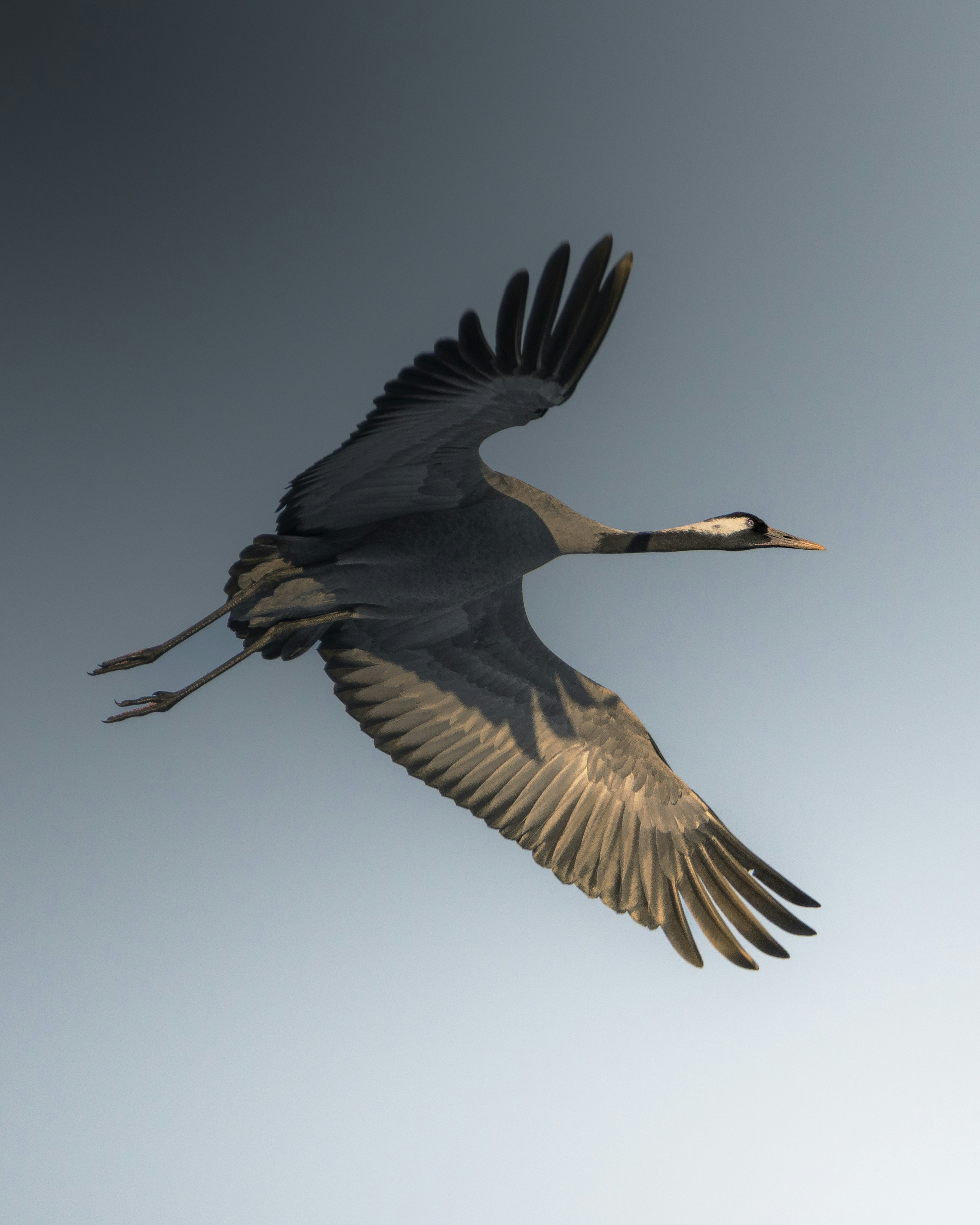 La Cosa Está Hecha Post feature image