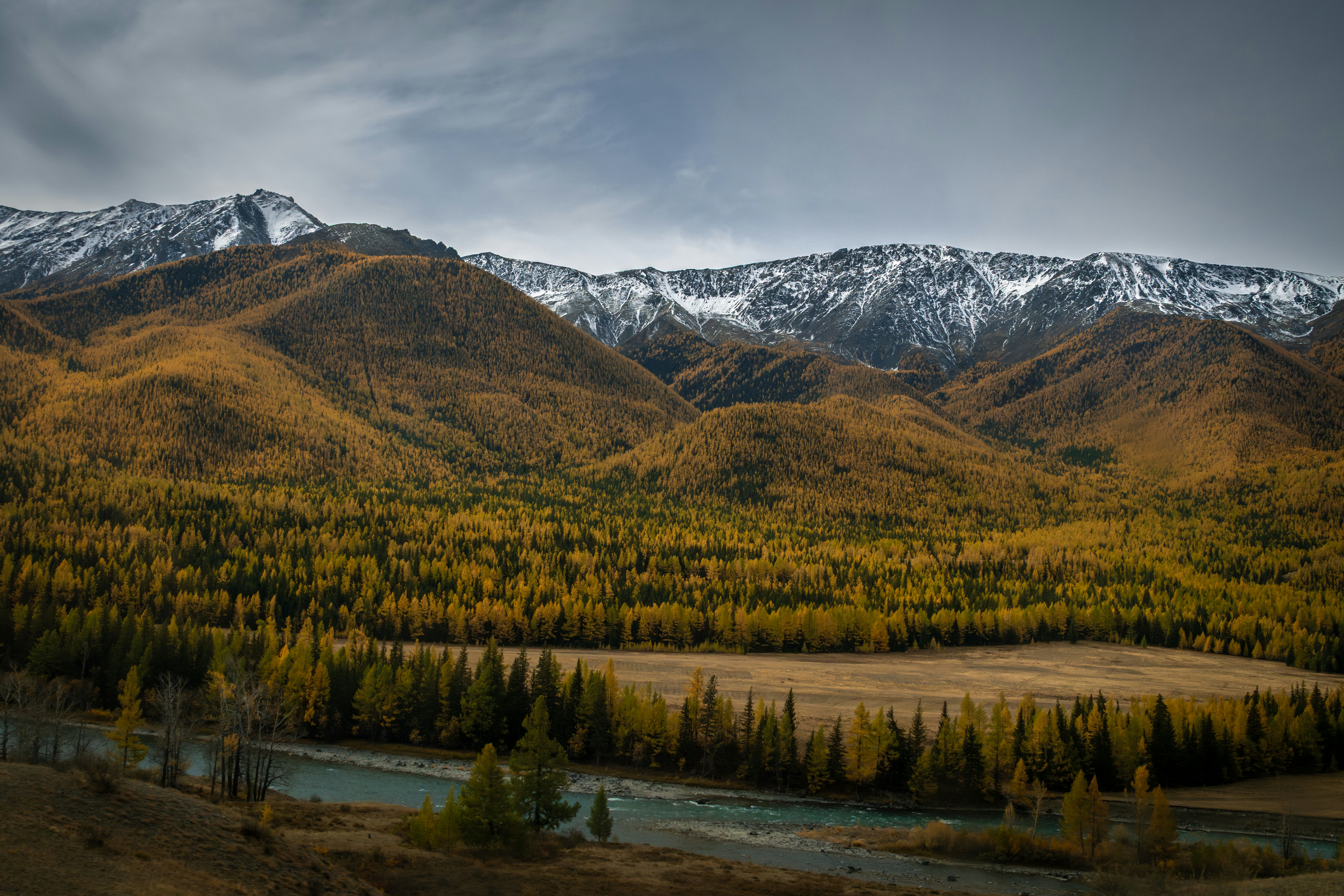 Autumn forest landscape with snow-capped mountains
