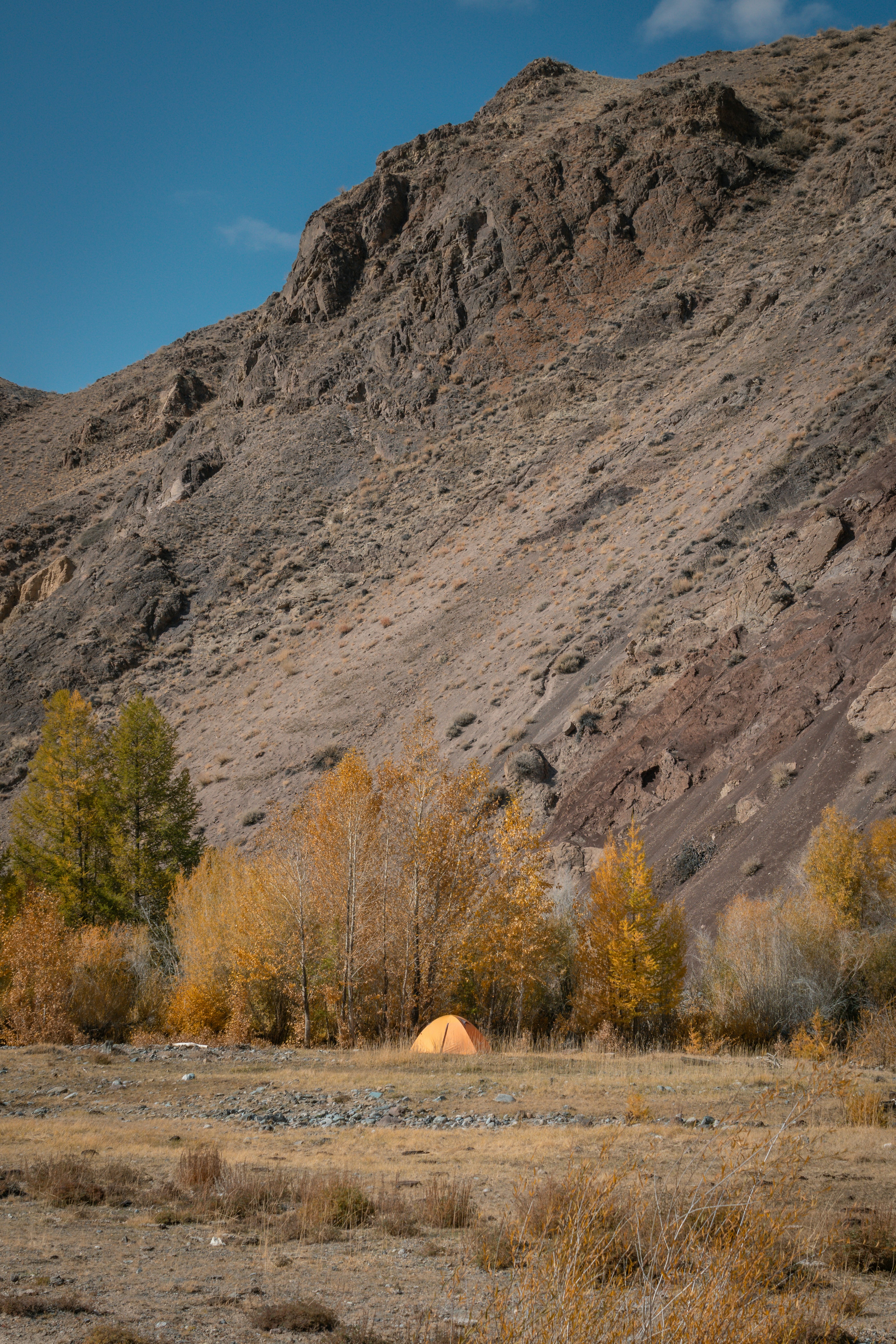 Orange tent set up in a field with autumn trees.