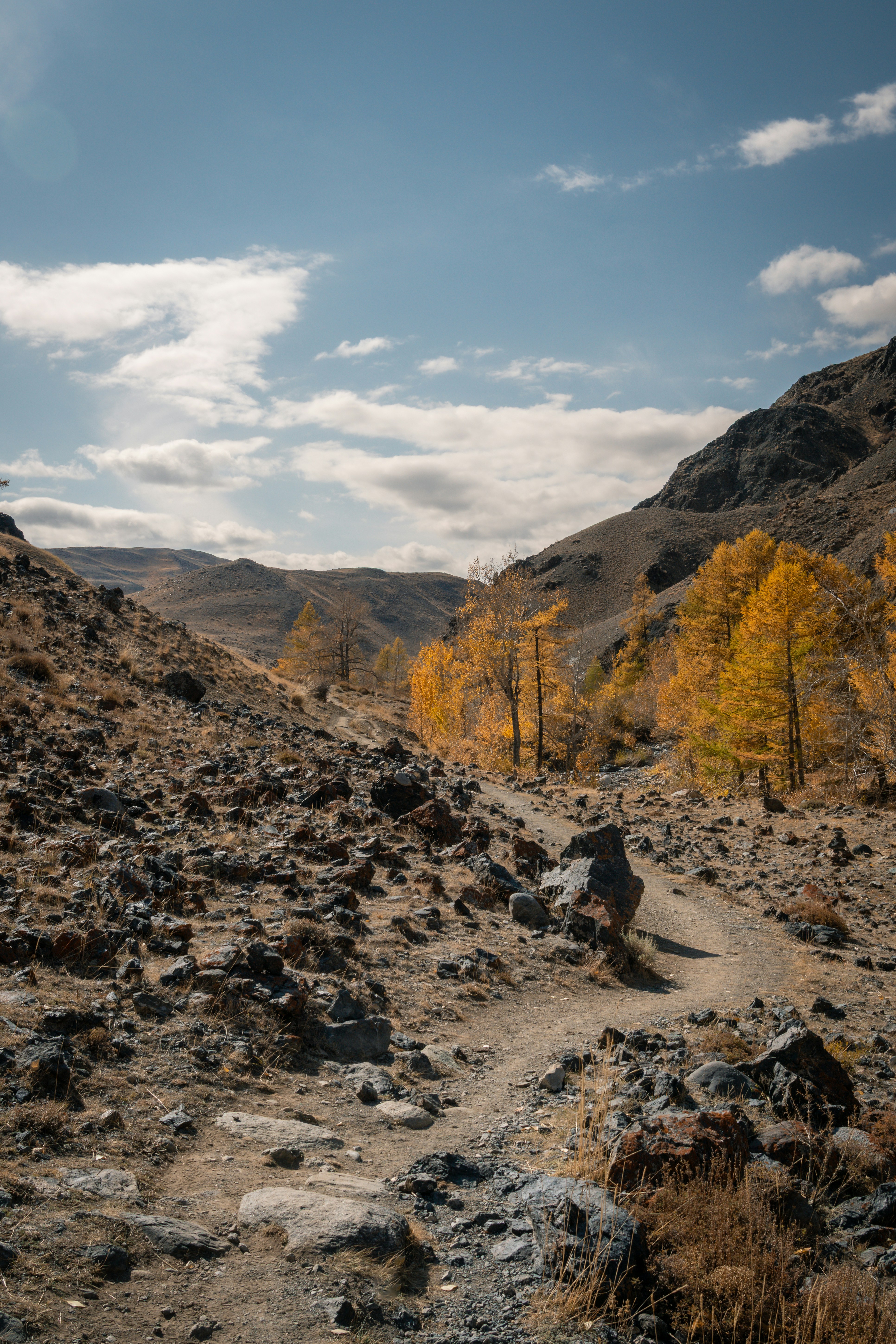 Rocky mountain path with golden autumn trees under sky.