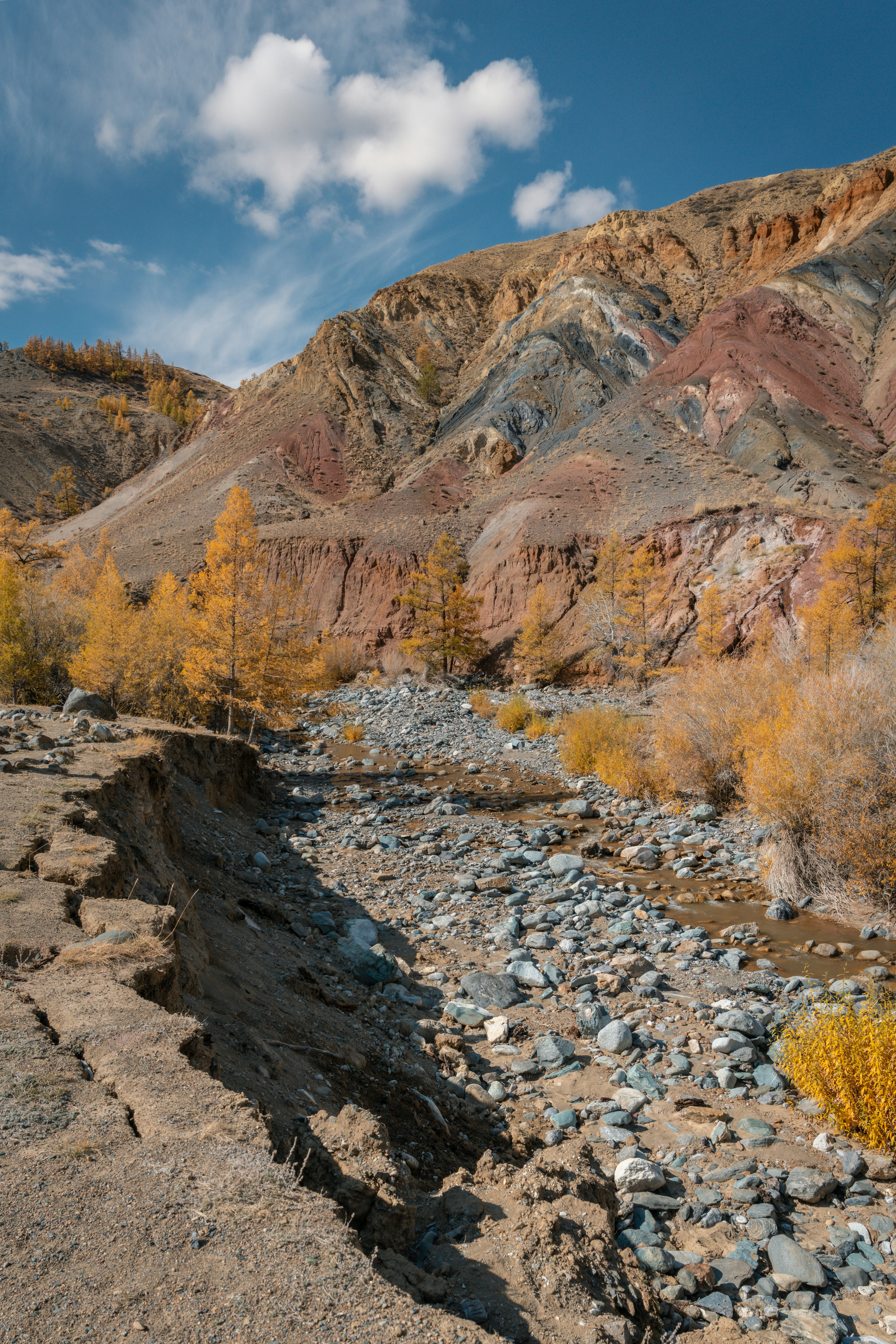 Colorful mountainside with autumn trees and rocky stream bed.