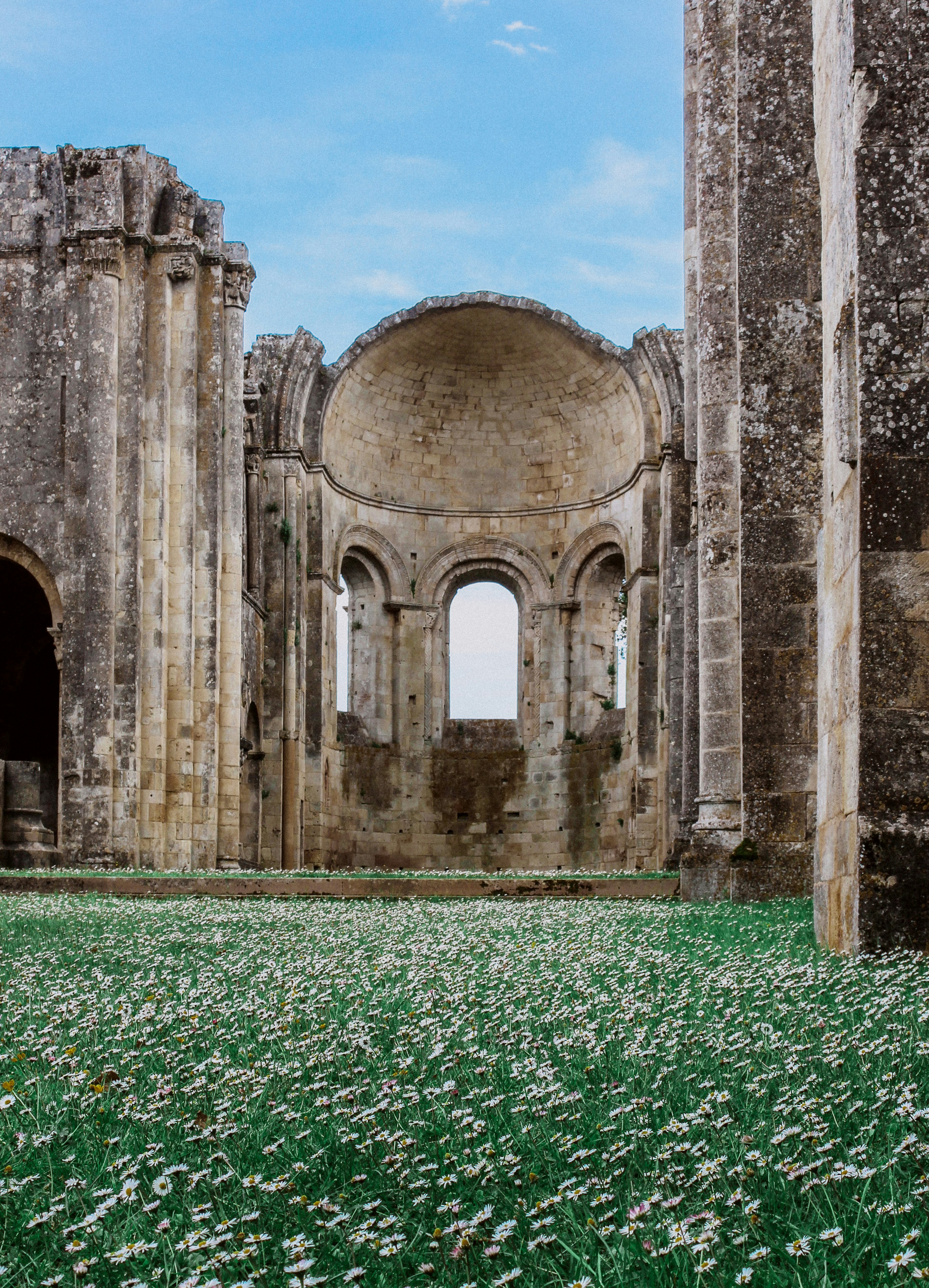 Ruined stone building with field of white flowers