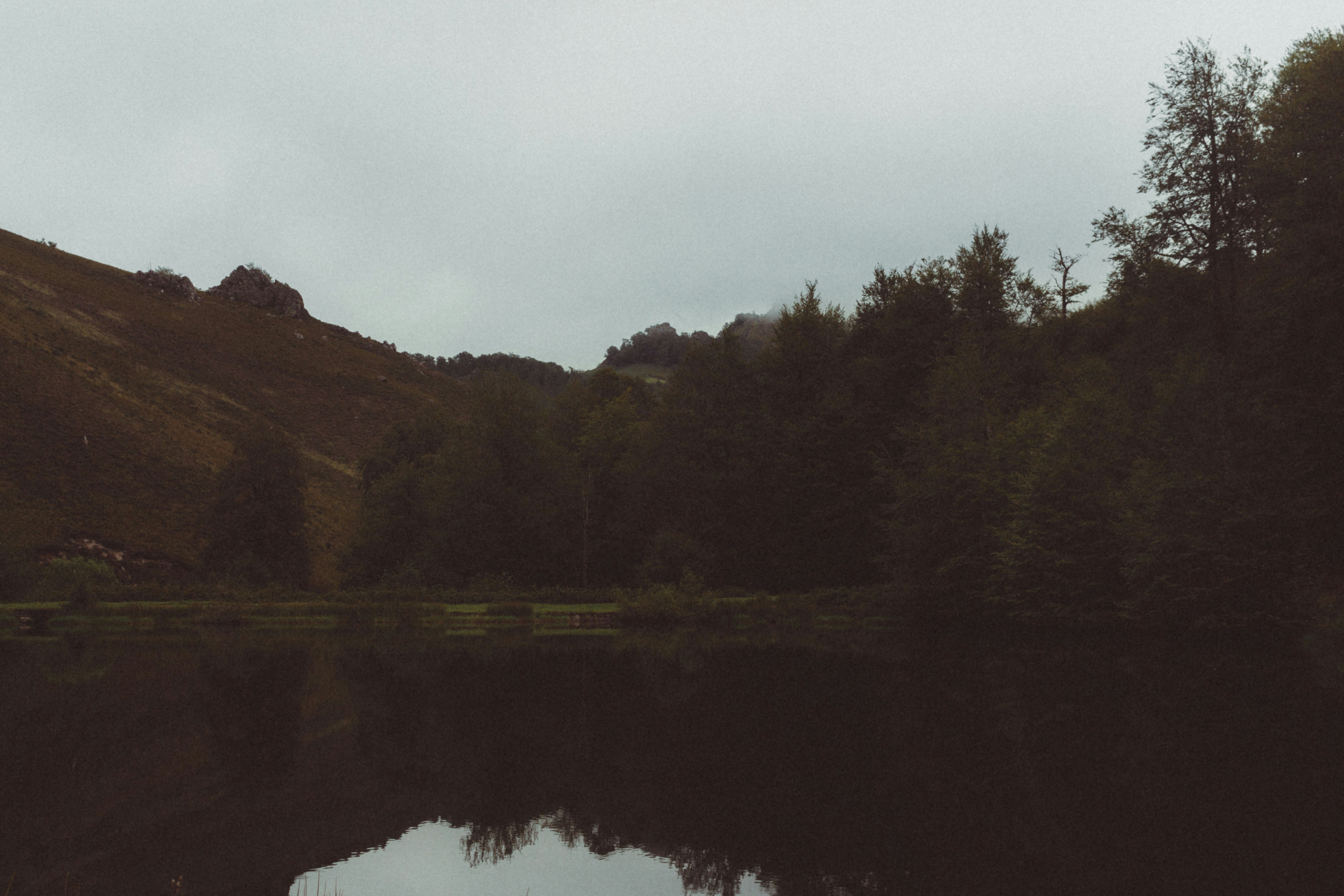 Dark forest reflected in a still lake under cloudy sky.
