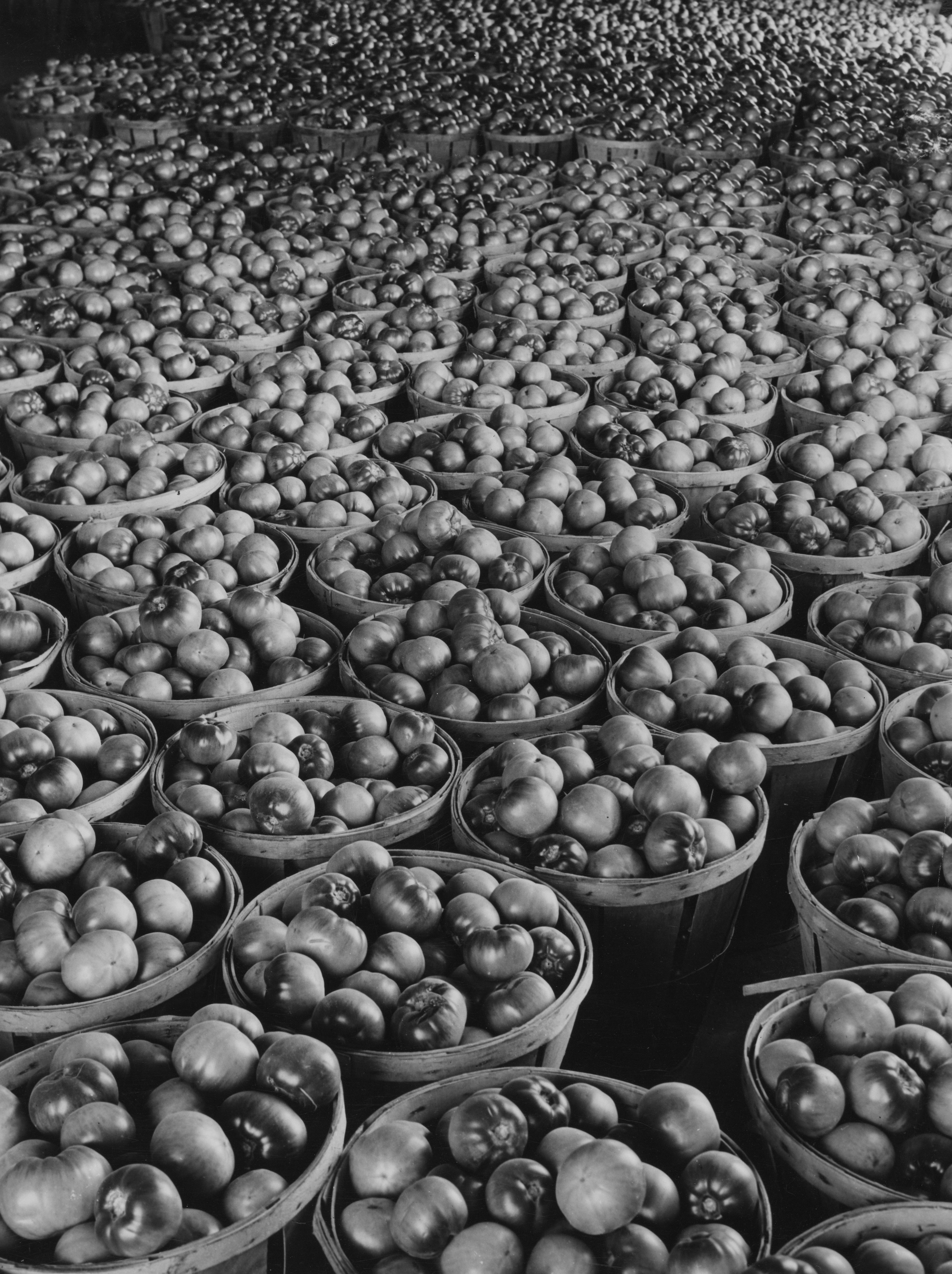 The Miriam and Ira D. Wallach Division of Art, Prints and Photographs: Photography Collection, The New York Public Library. \