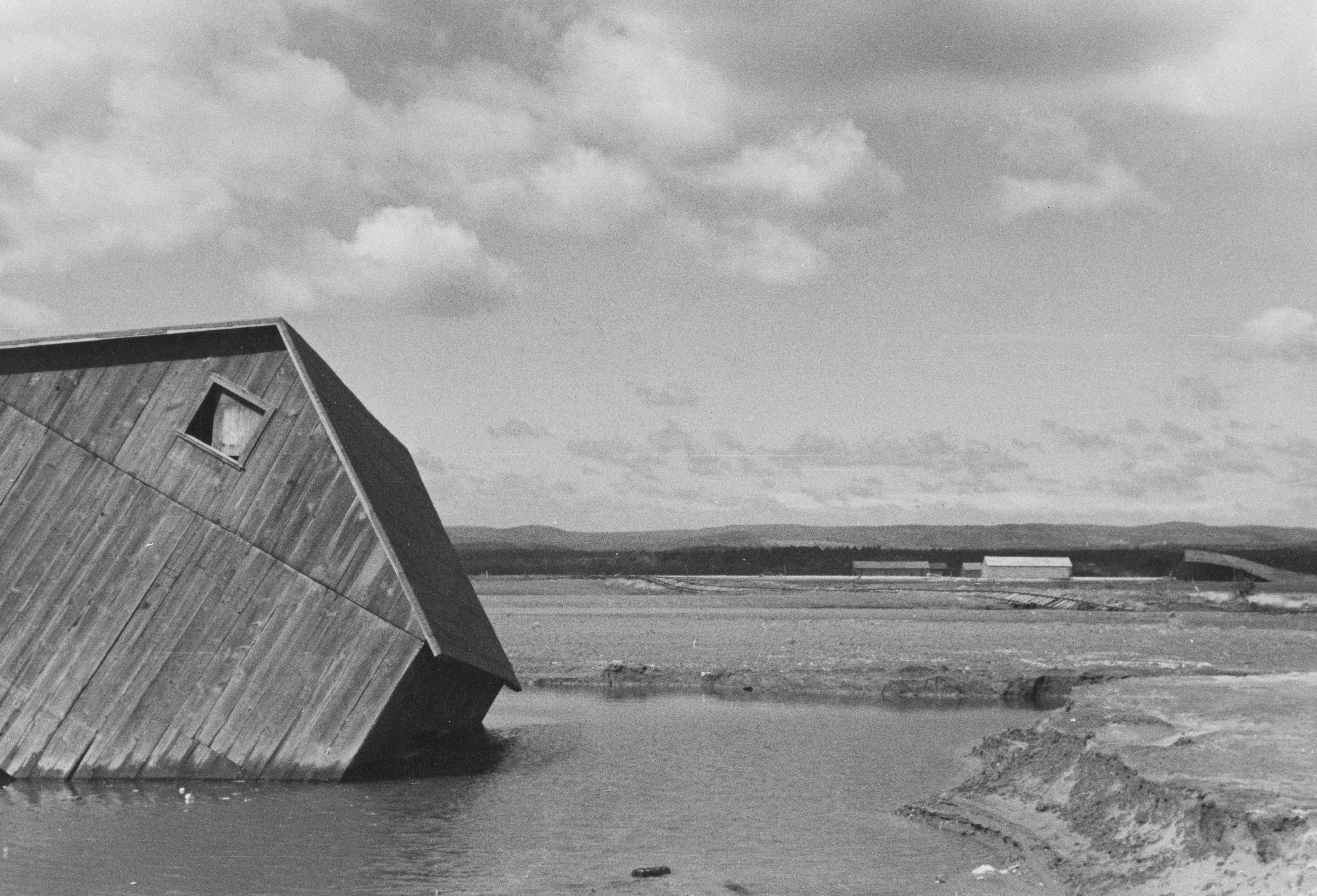 When AI Makes You Look Busy, Not Productive