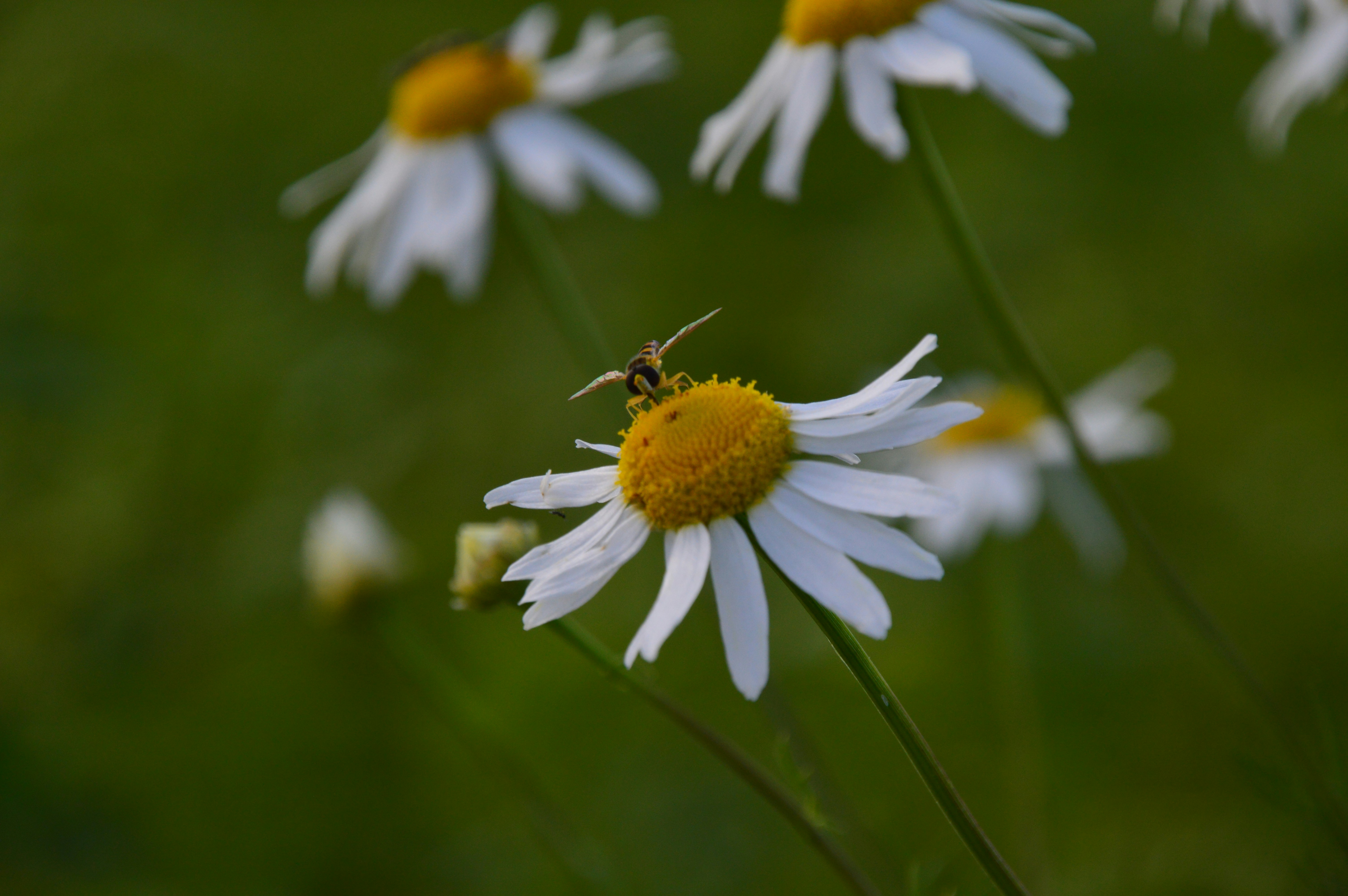 Photo by freudefunken_fotografie