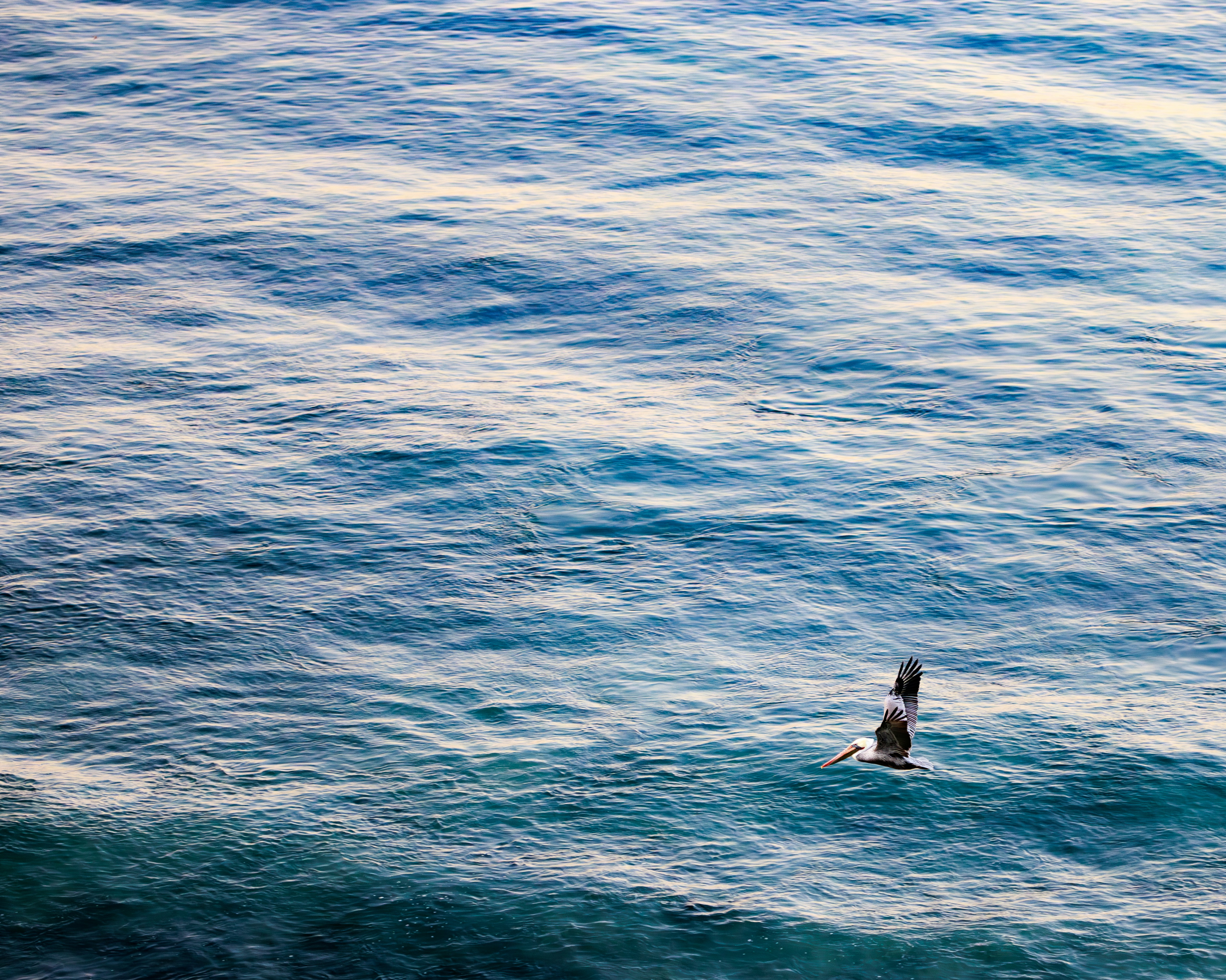 Photo by stephensnyder