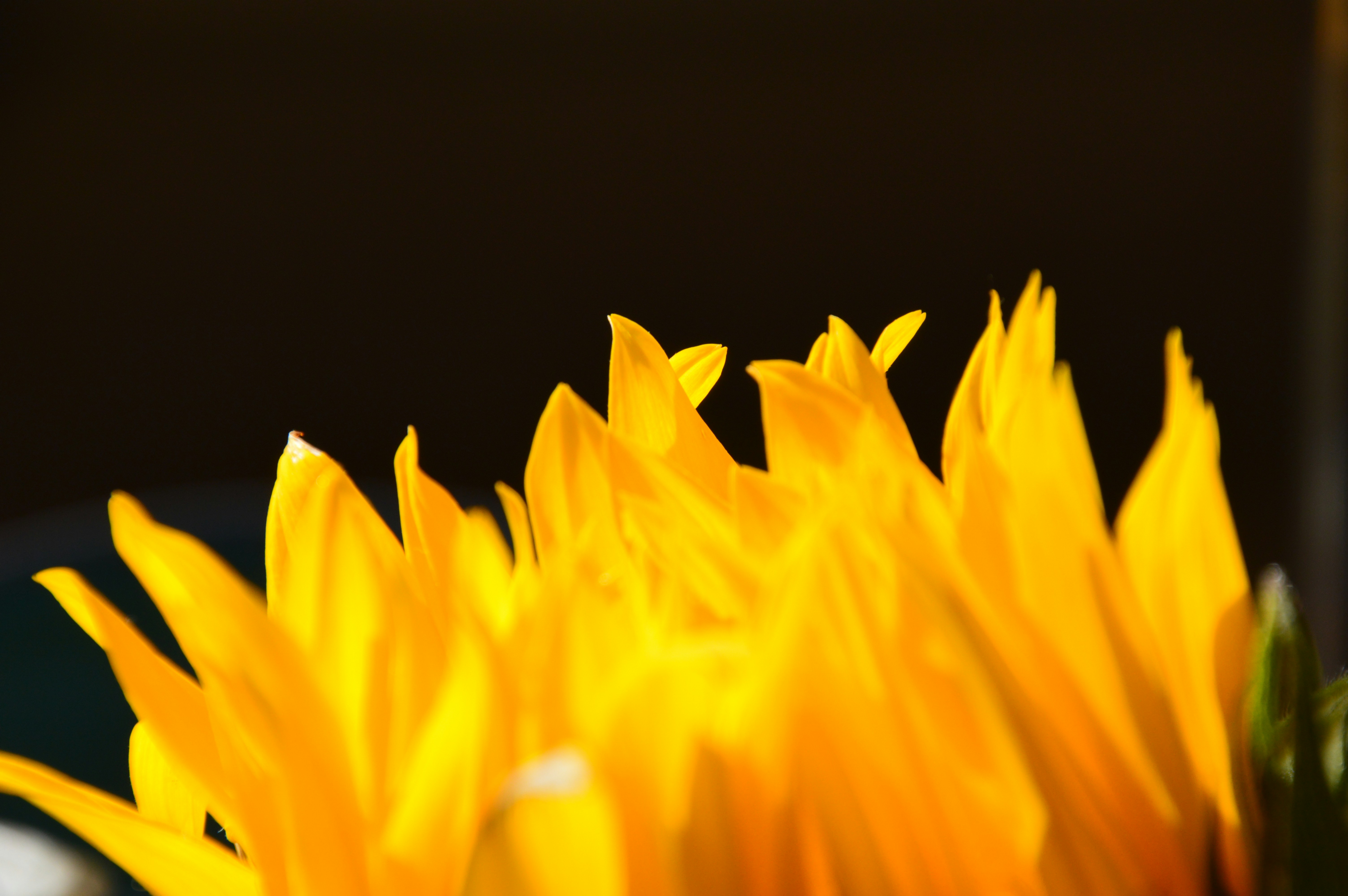 Photo by freudefunken_fotografie