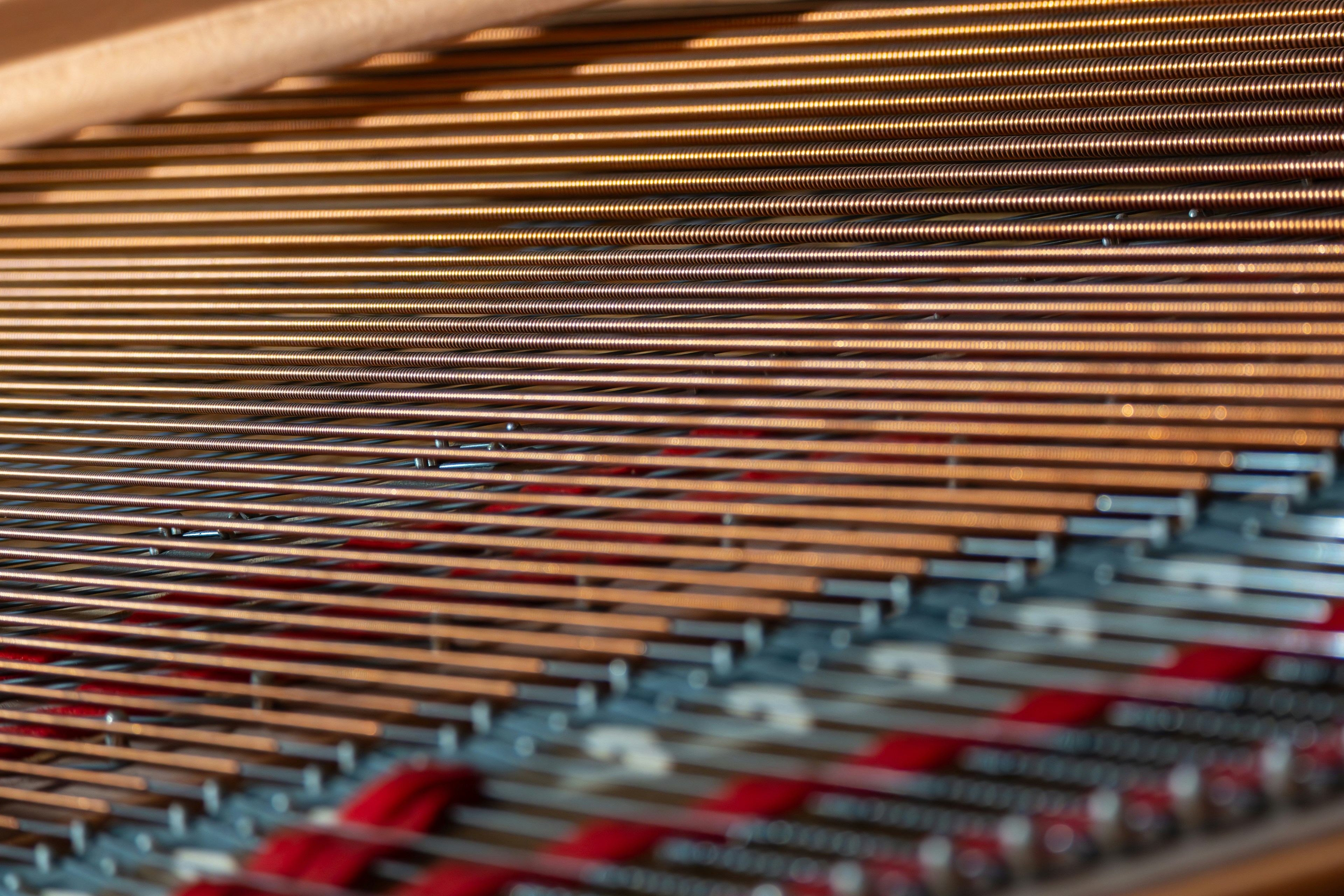 Photo by robi_photography_