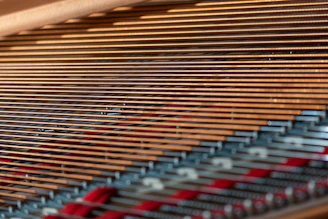 Close-up of piano strings and hammers