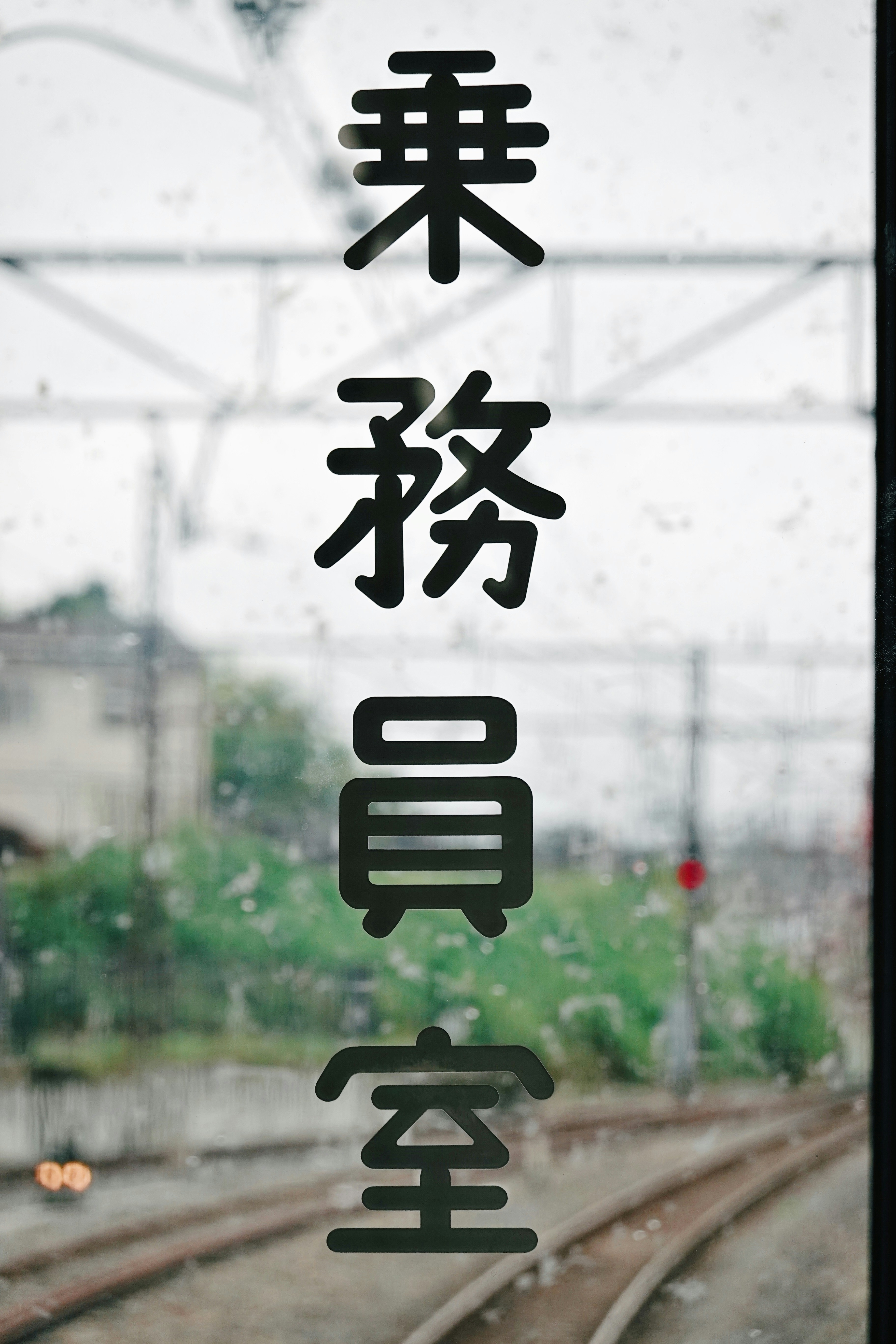 Photo by yungchi1104