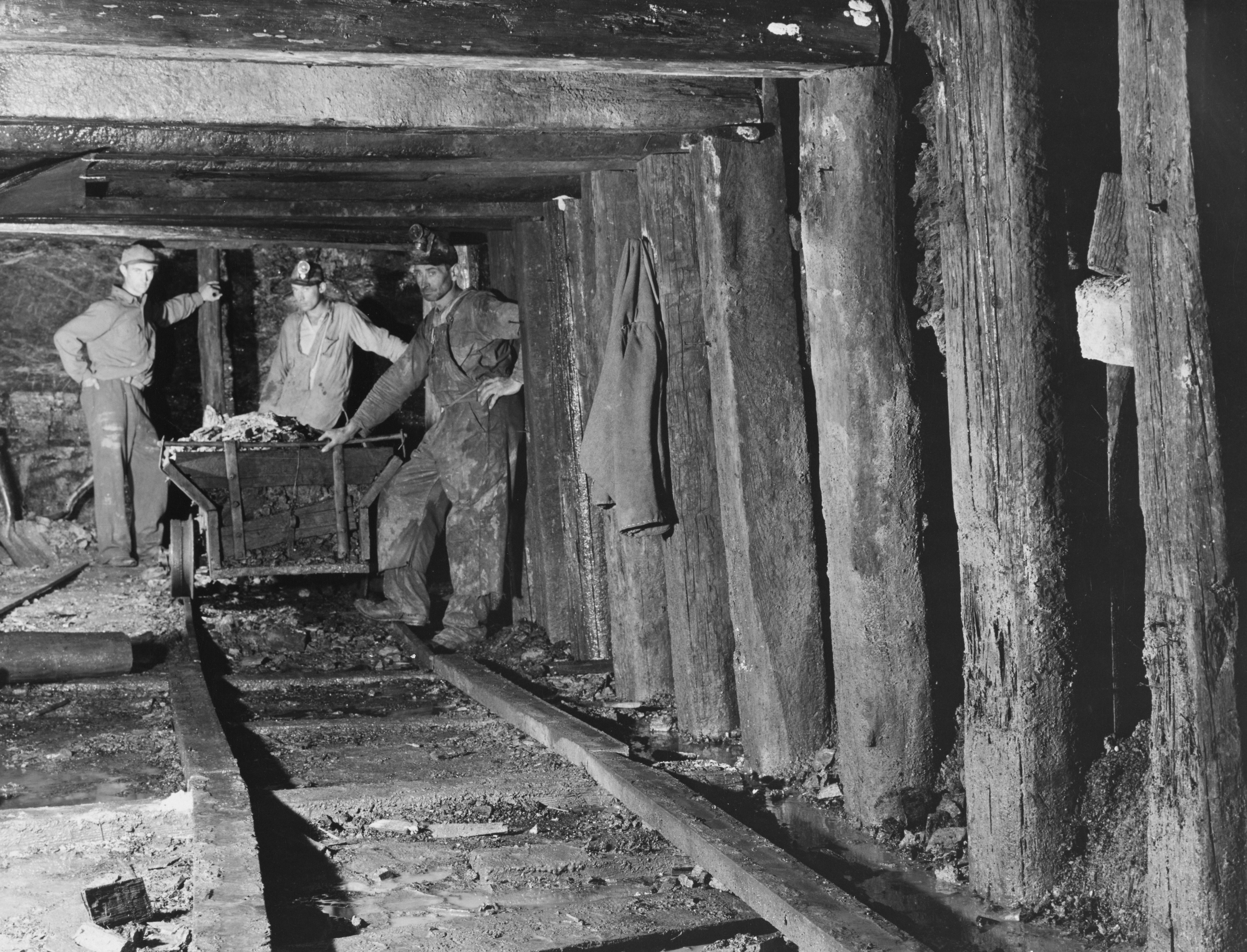 Era Baru: Revolusi AI dan Teknologi Kreatif di Masa Depan