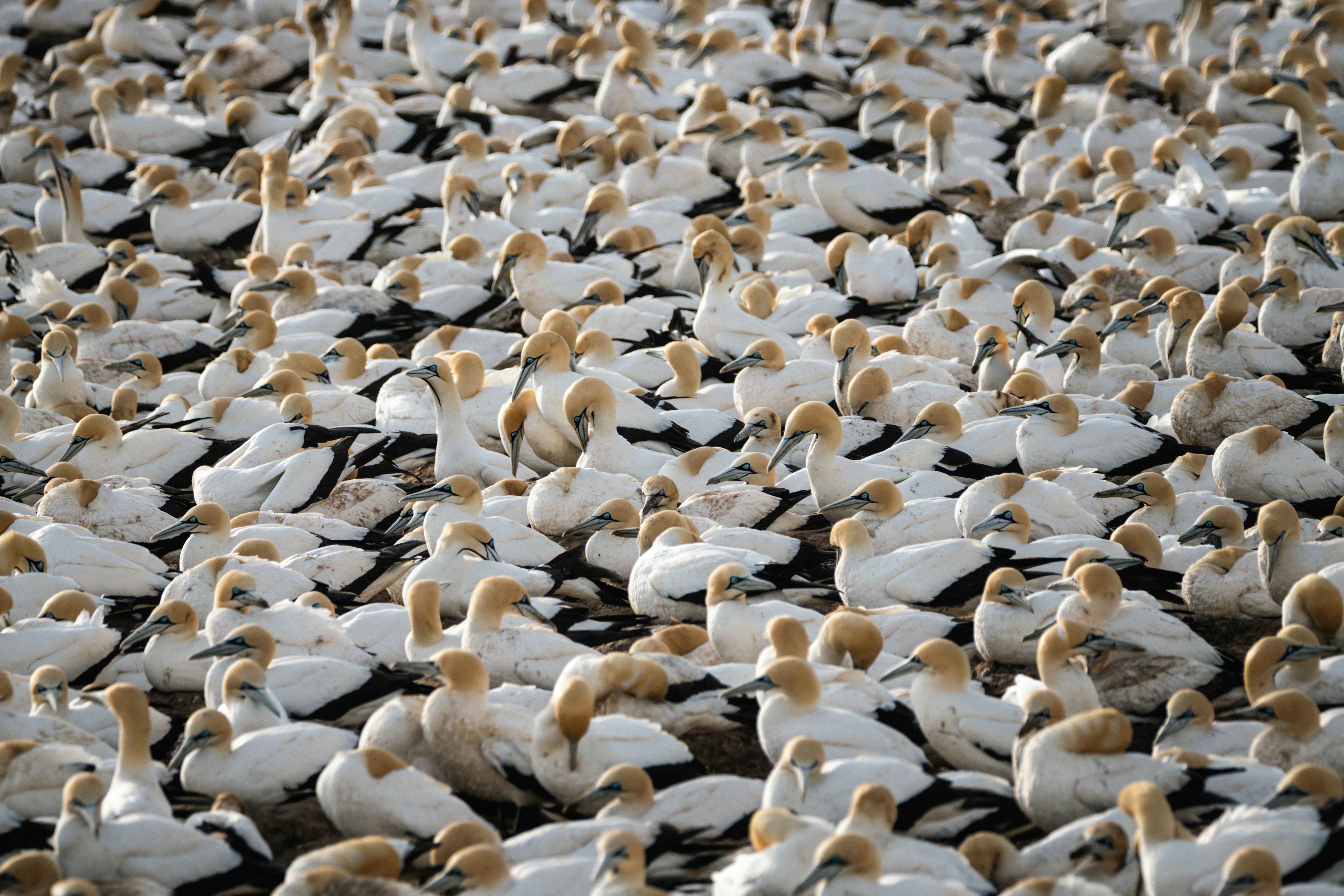 Photo by asherpardey