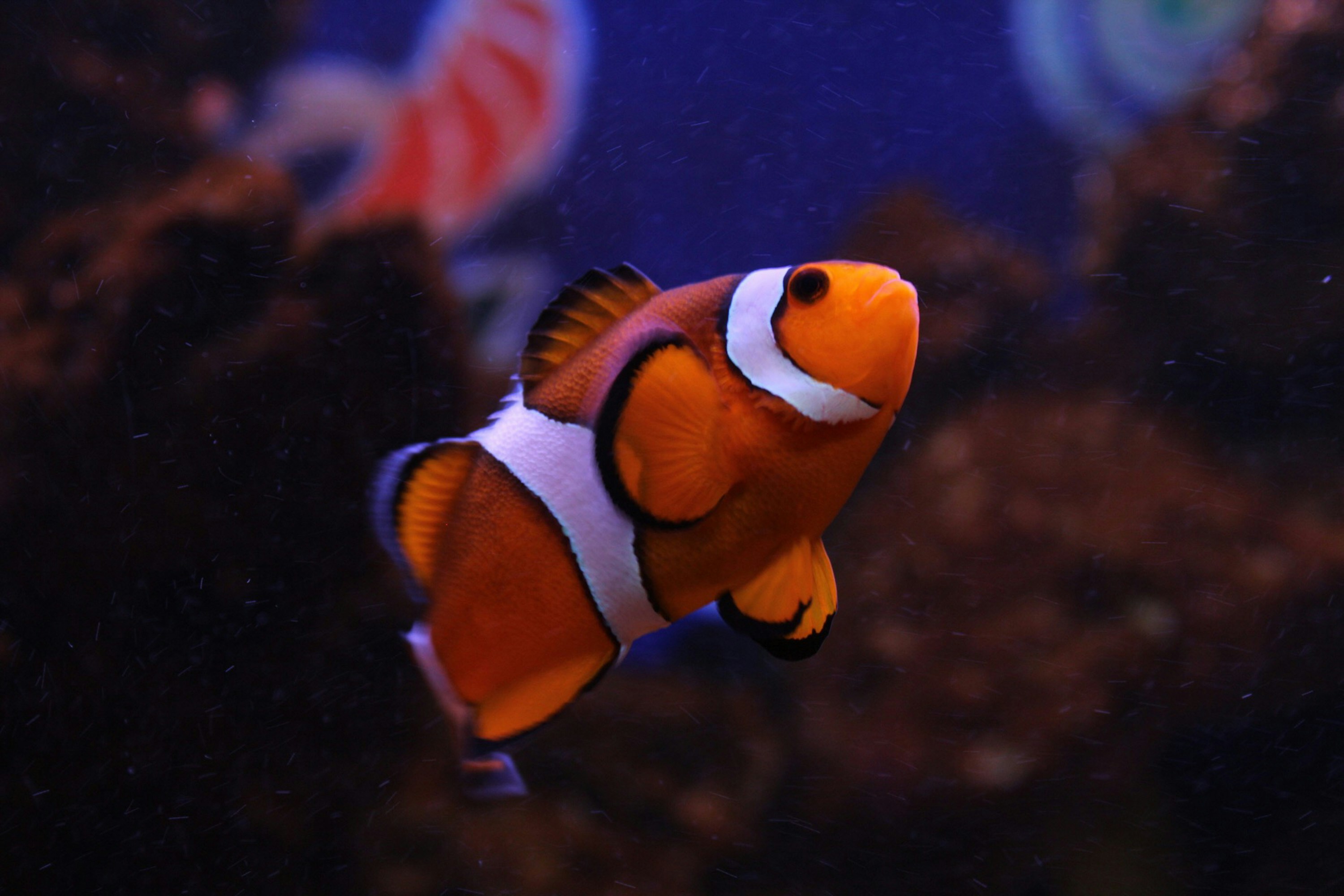 Photo by danielandprado