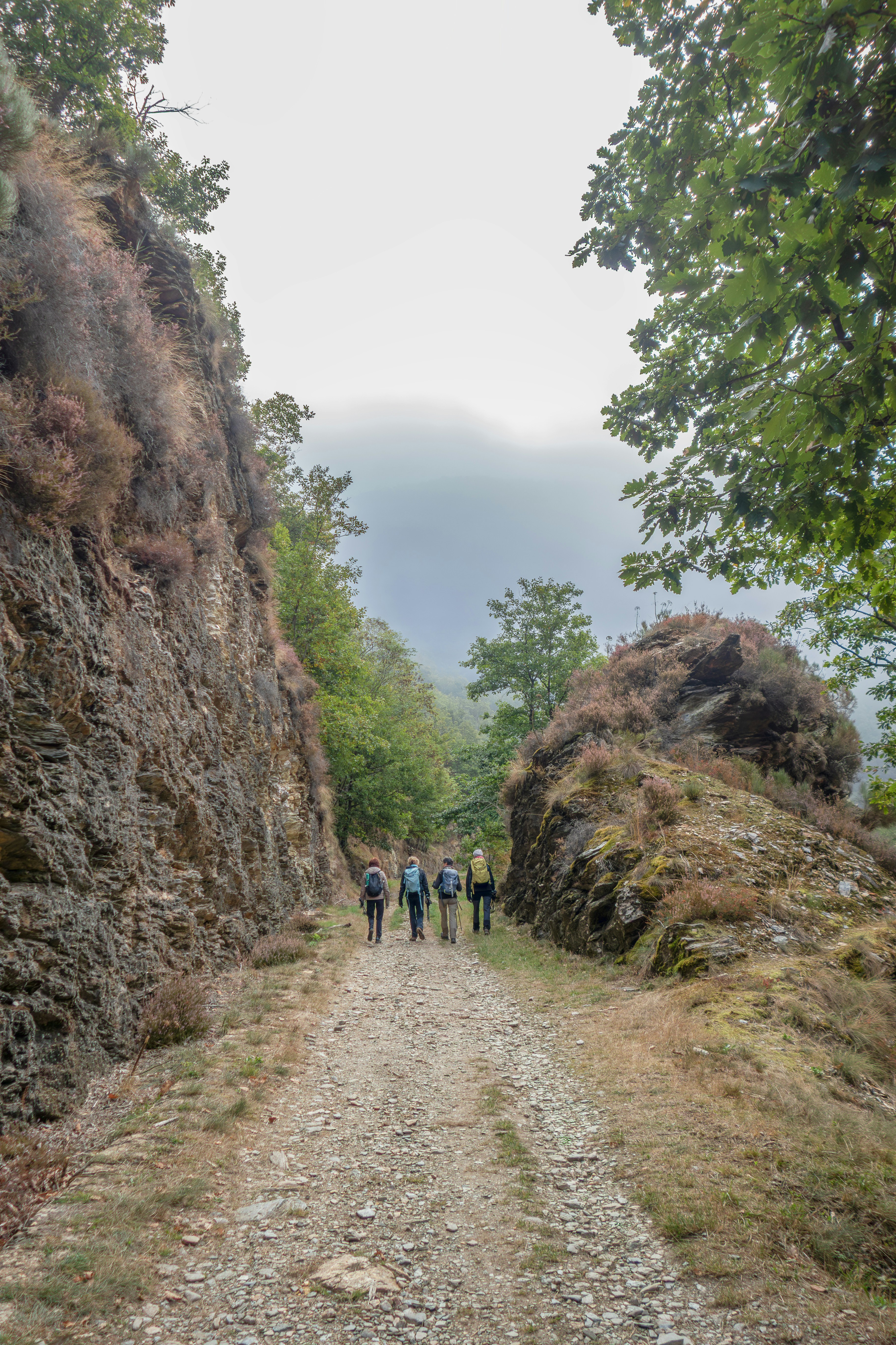 Money-Saving Strategies Specific to Rural Portugal