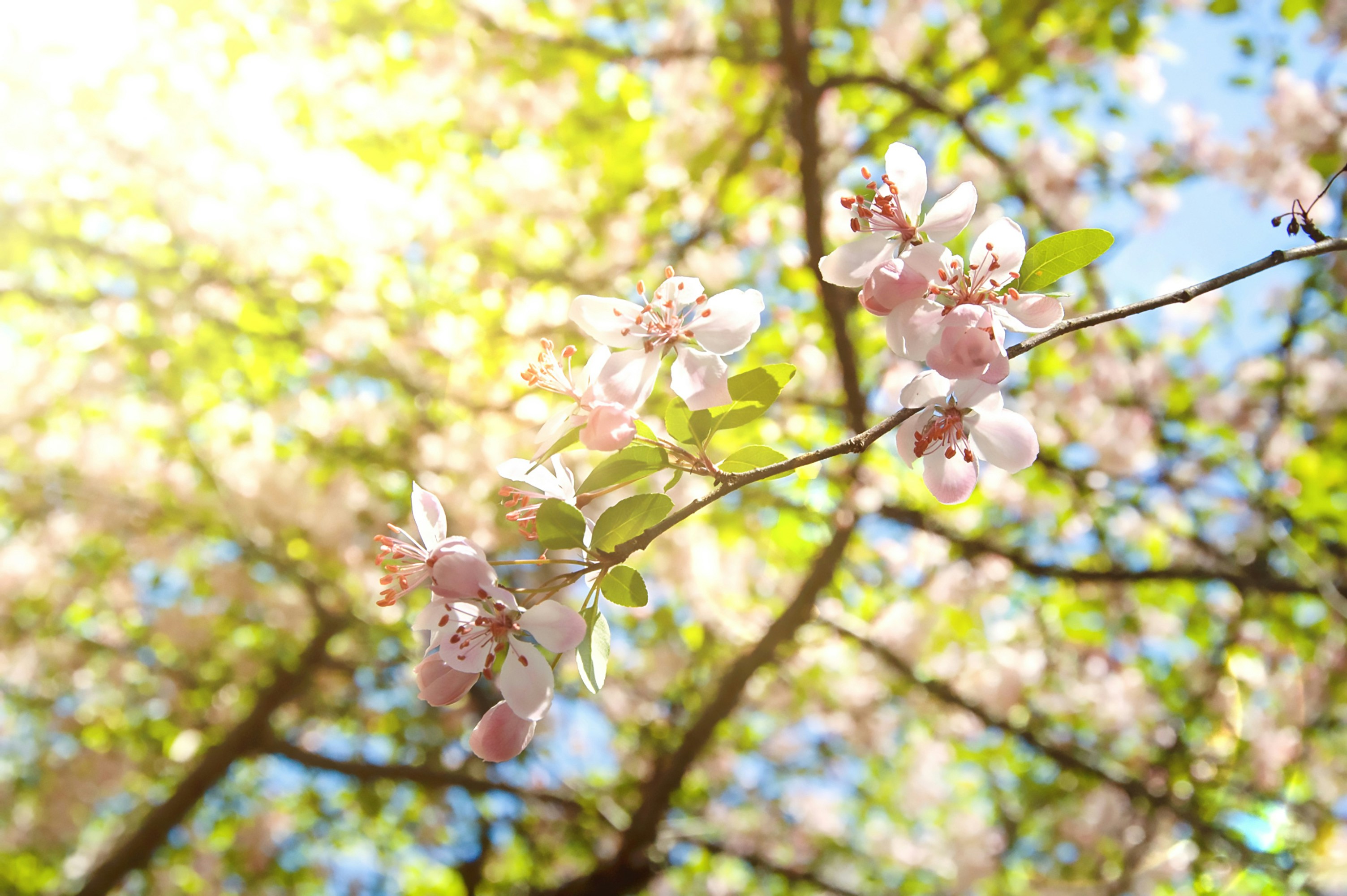 Photo by mcmdesign79