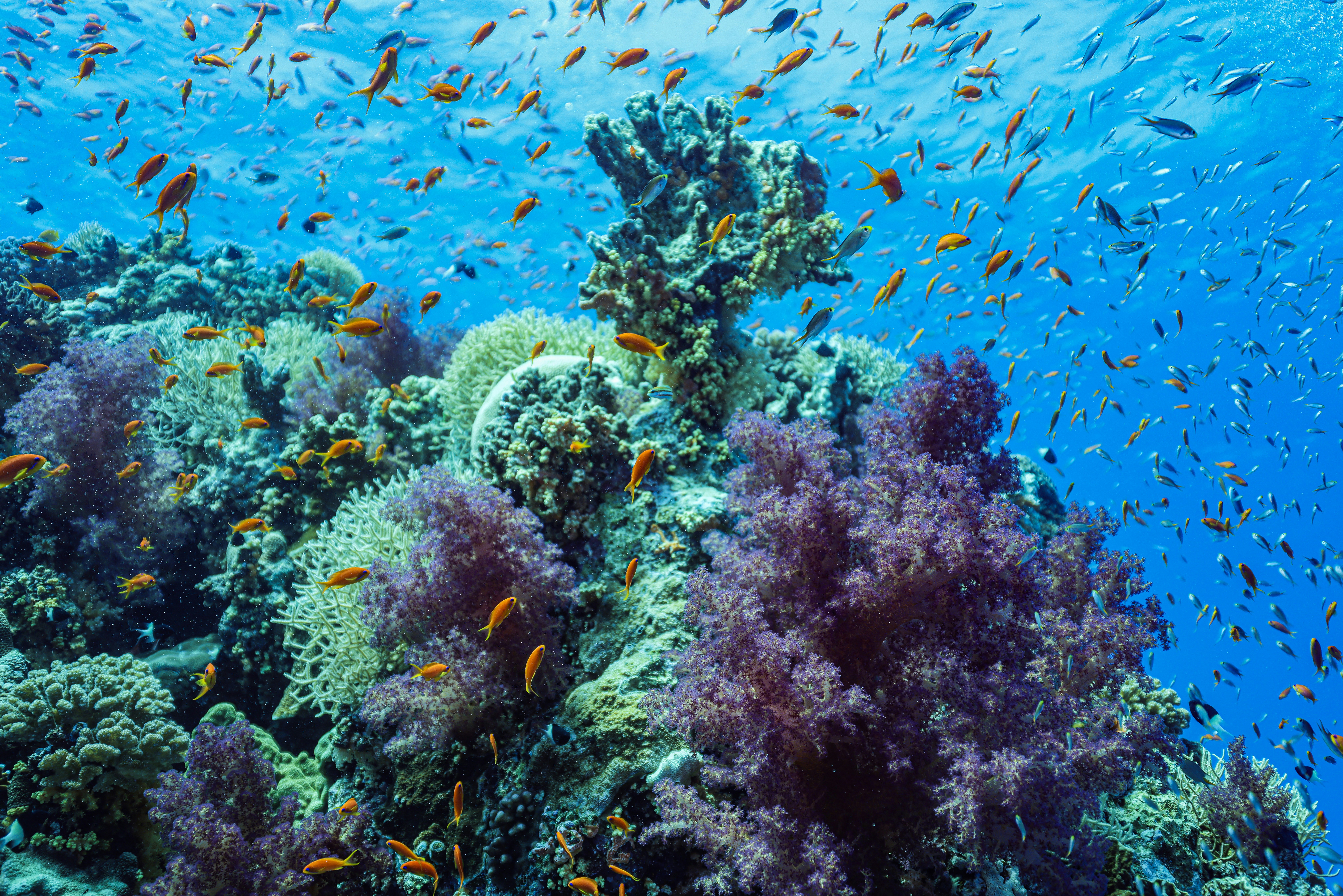 Photo by katja_zlotnikova