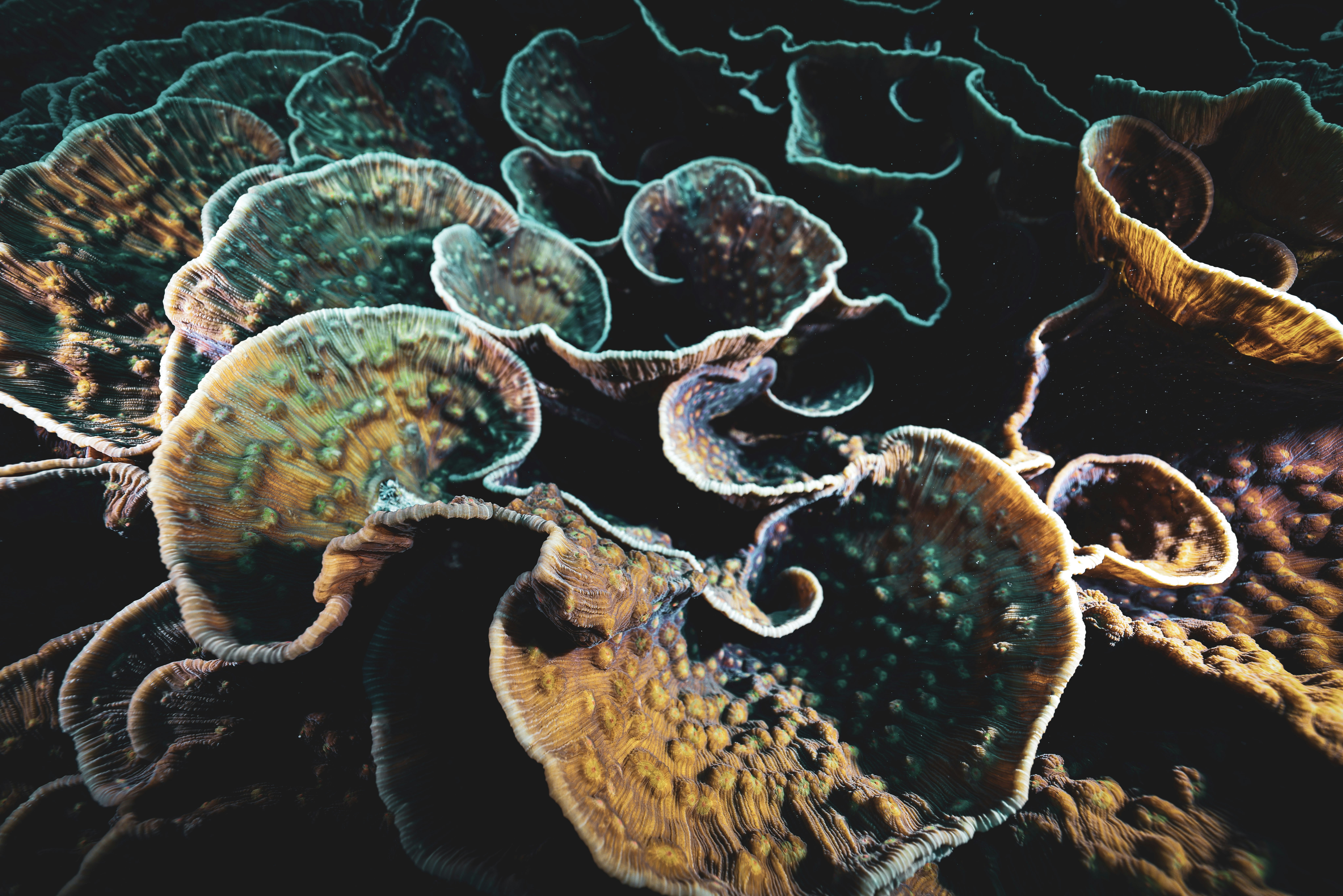 Photo by katja_zlotnikova