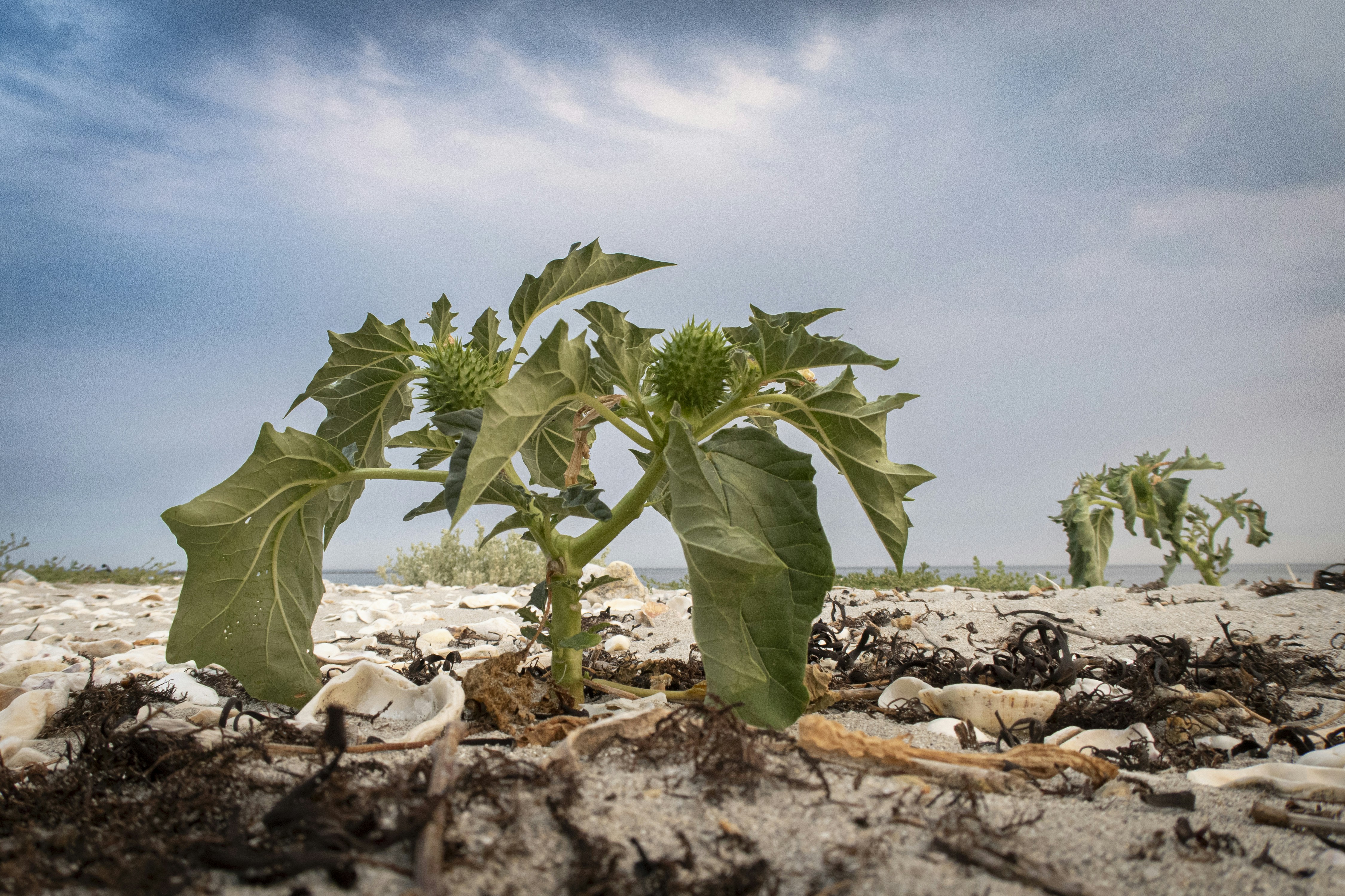 Exactly How Day Care Readies Kids For Their Shift To Kindergarten