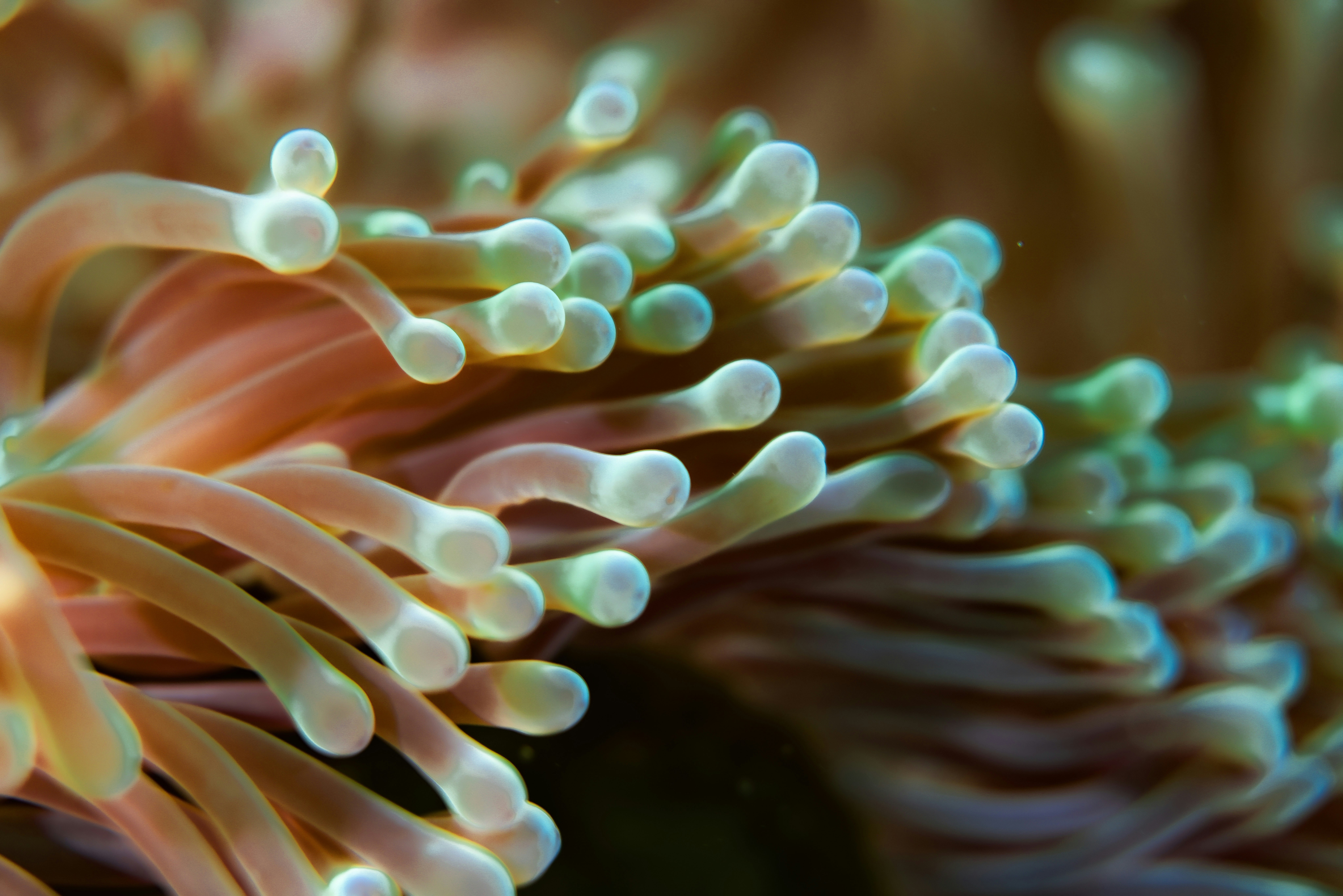 Photo by katja_zlotnikova