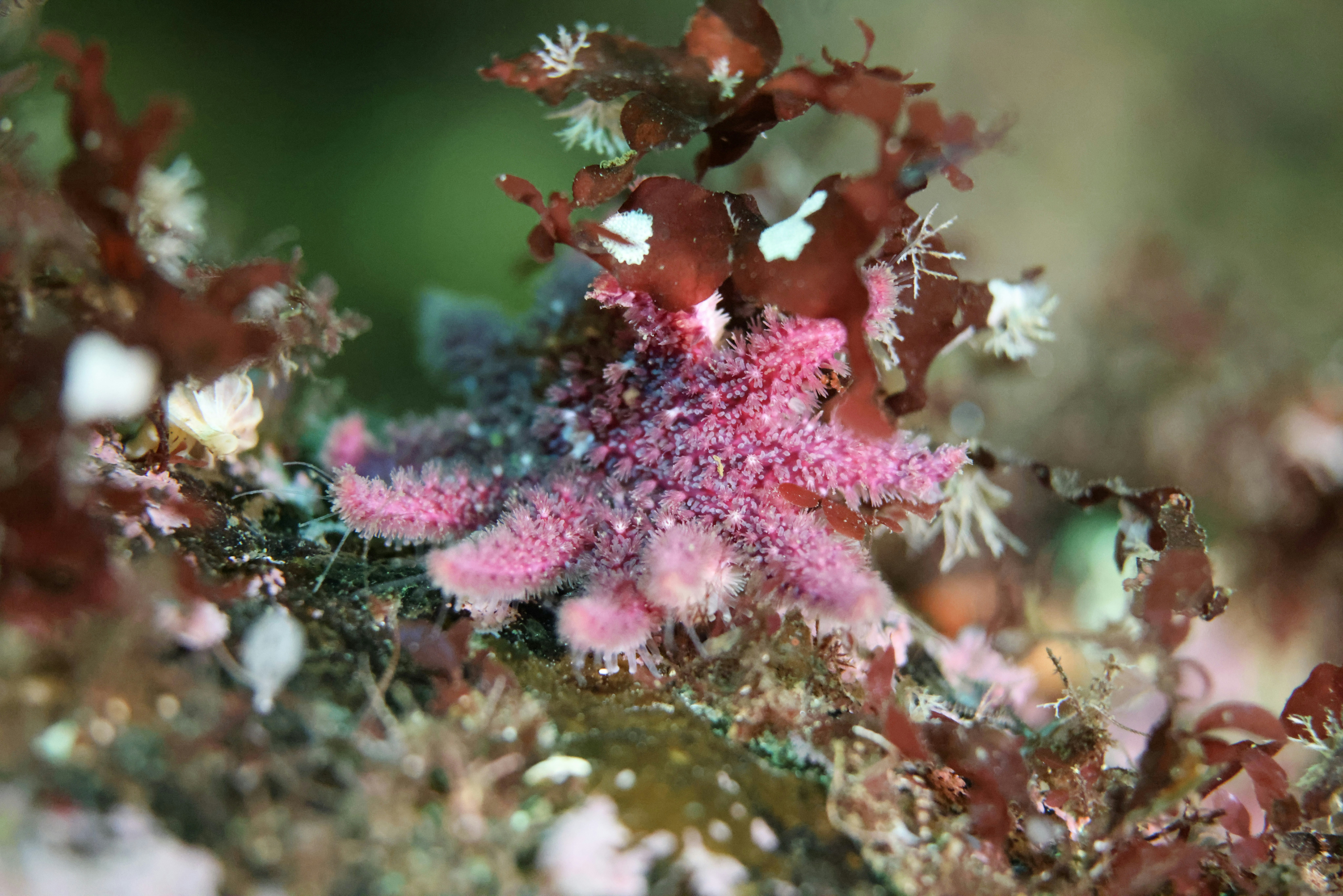 Photo by katja_zlotnikova