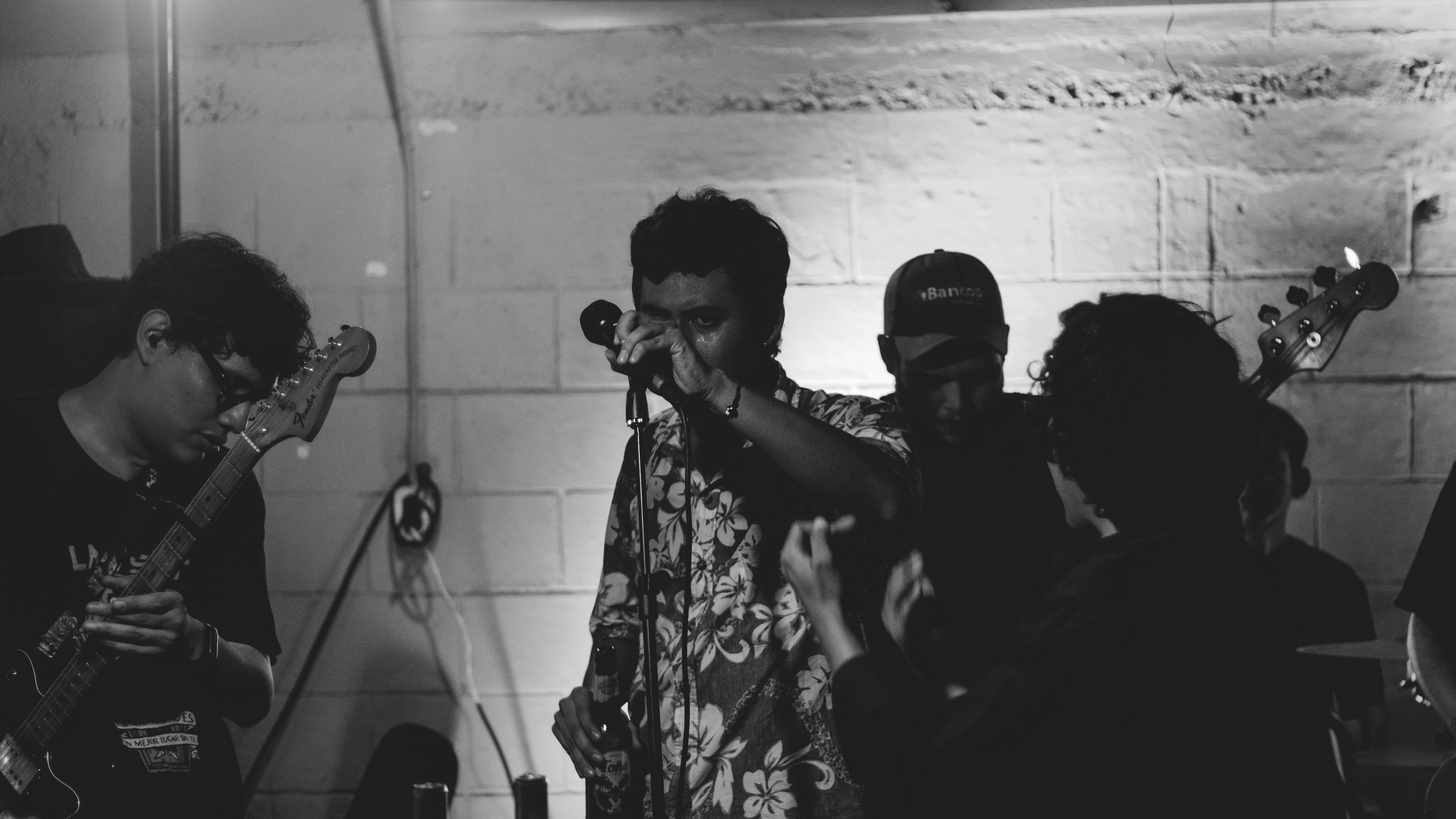 night performance of band