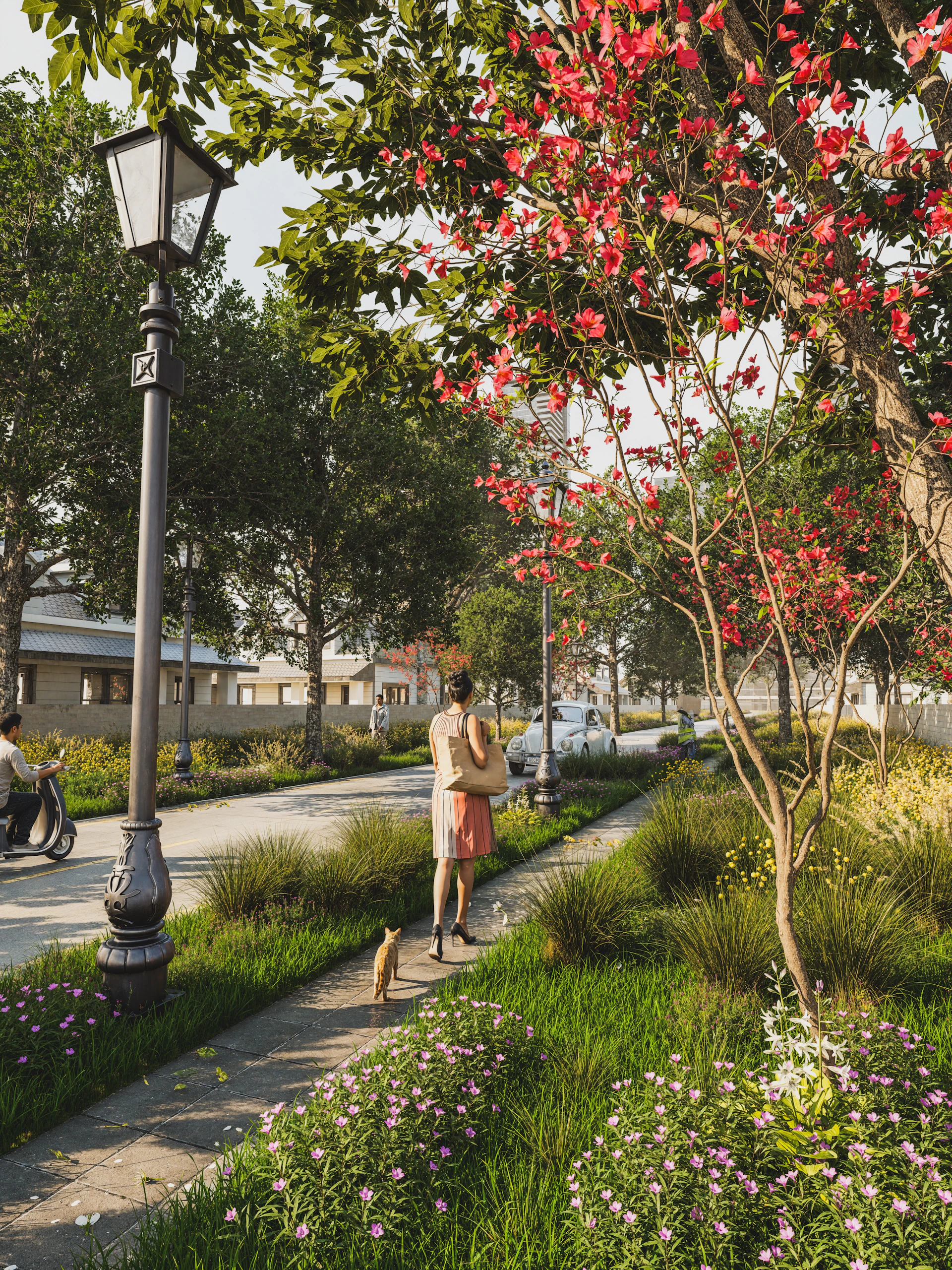 Woman walks with cat on sidewalk near blooming trees.