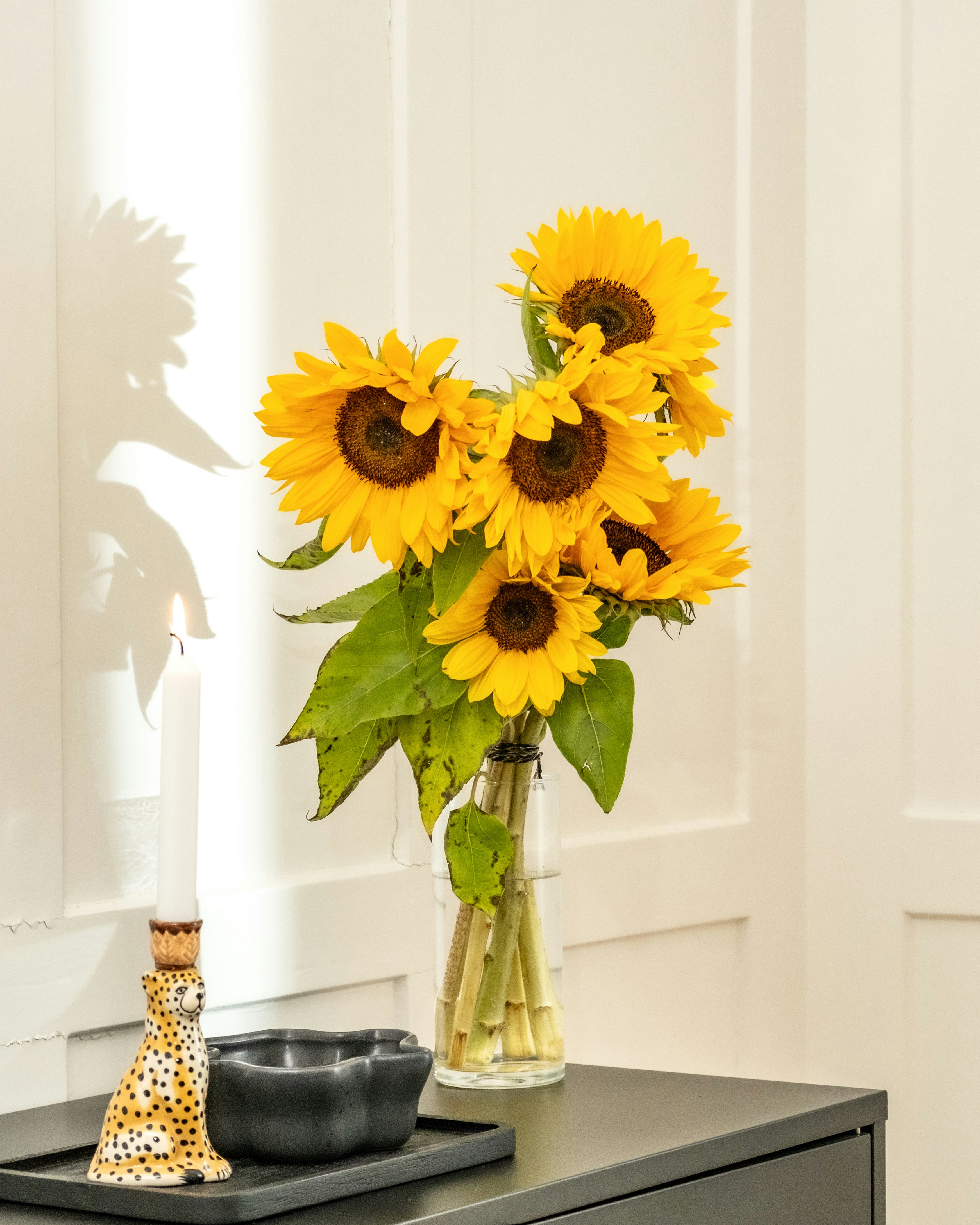 Photo by feeypflanzen