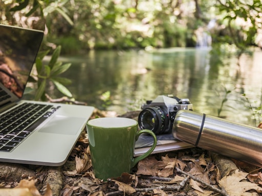 Laptop, camera, and mug by a forest stream