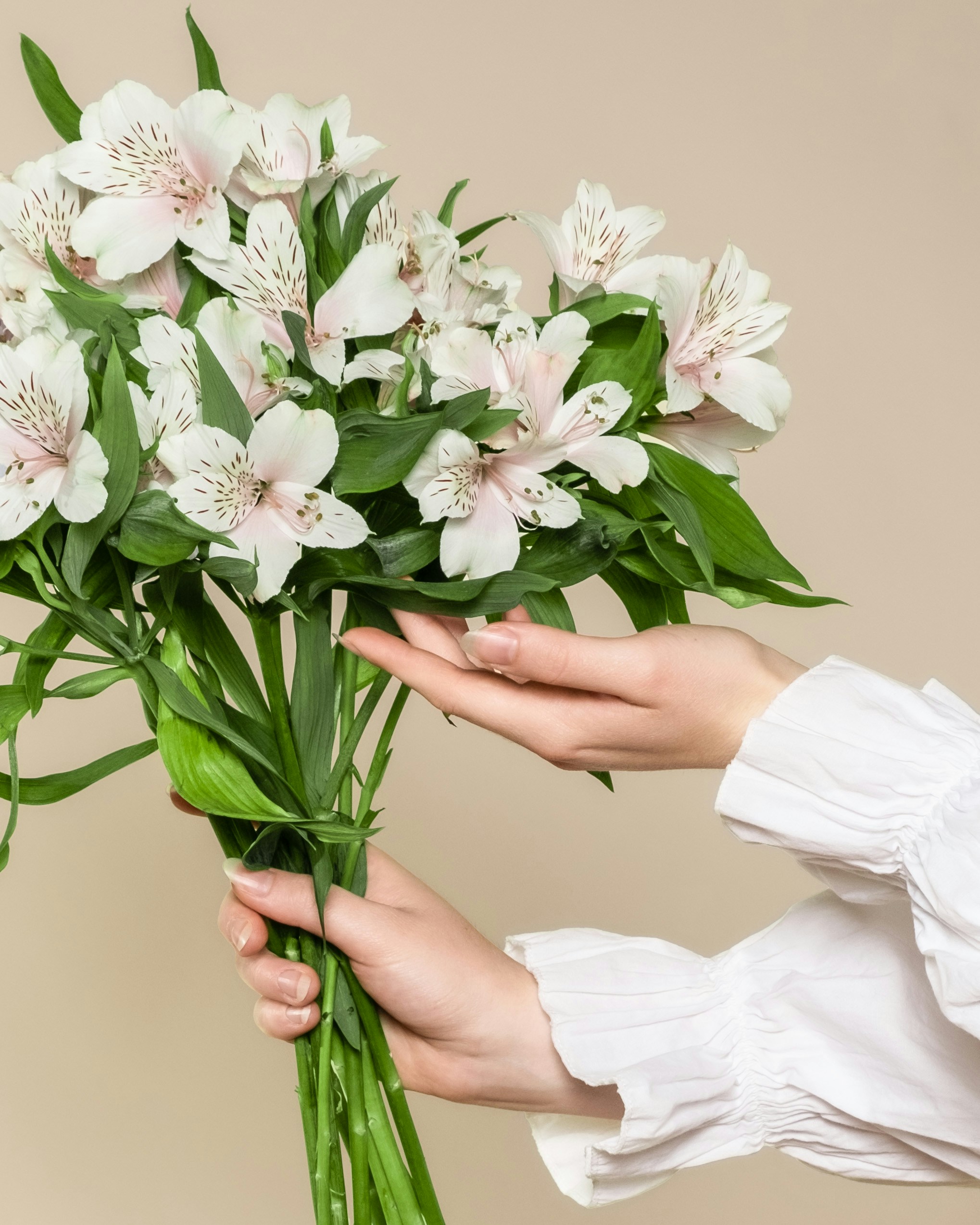 Photo by feeypflanzen