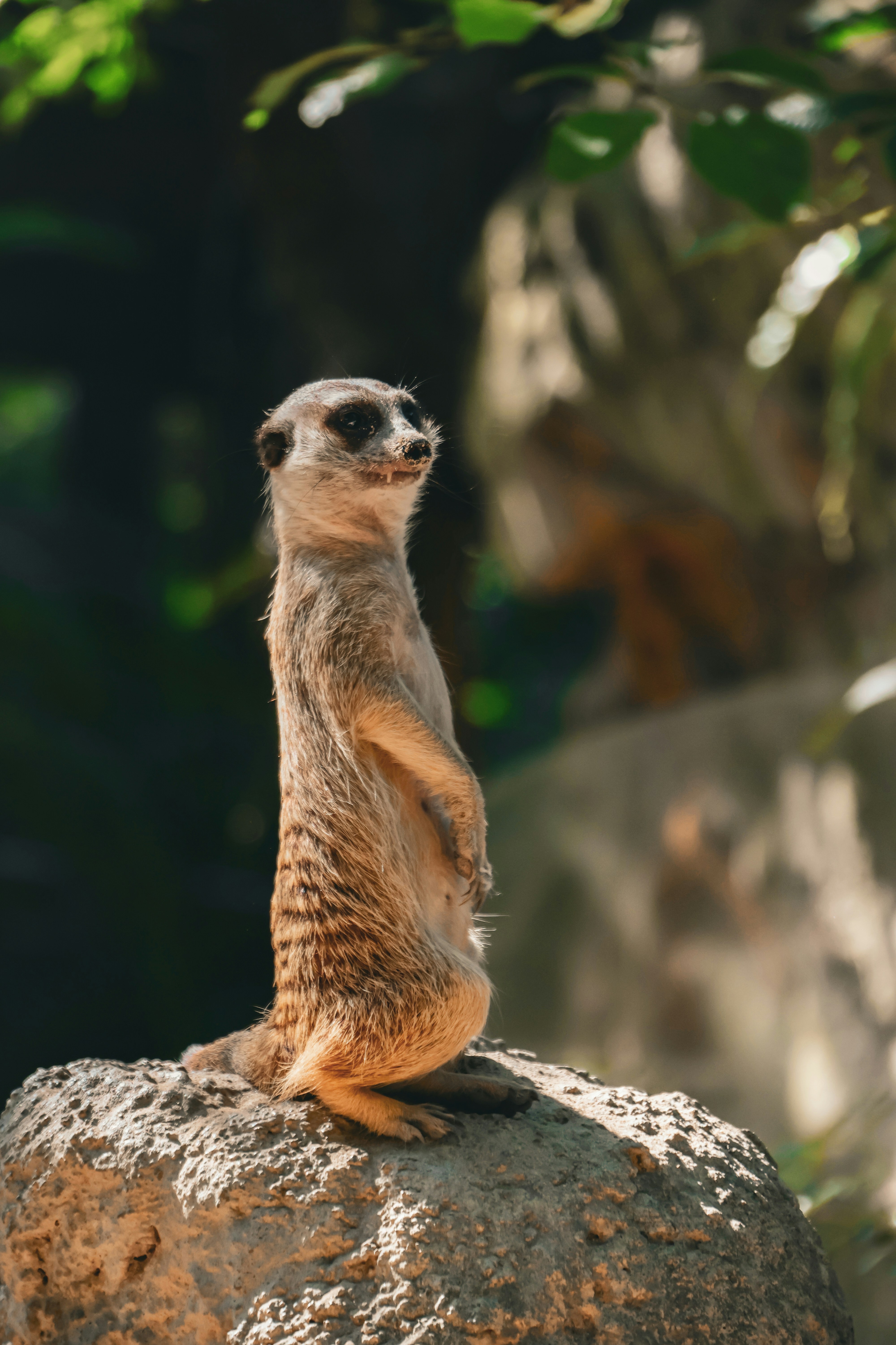 Photo by floatflower