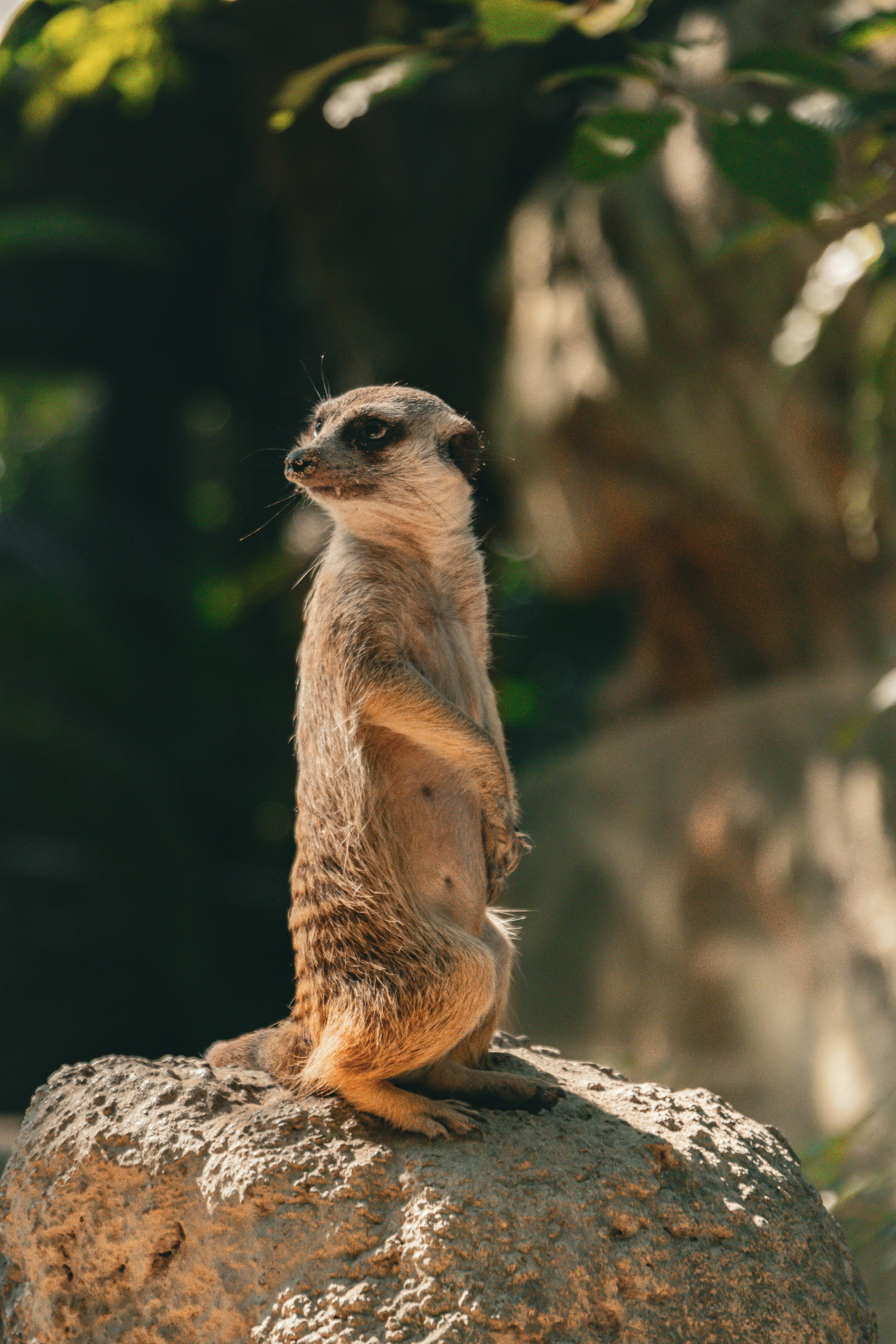 Photo by floatflower