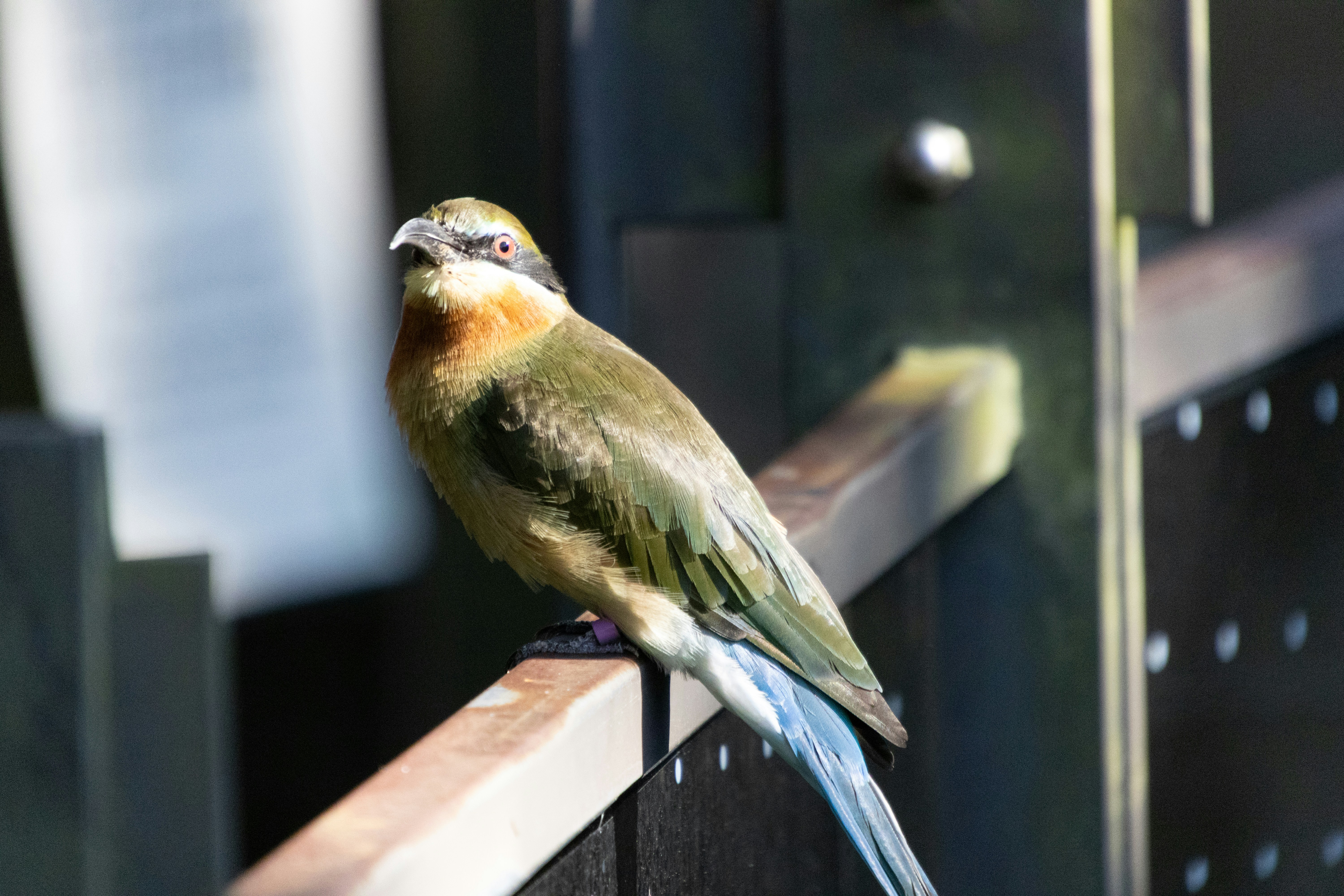 Photo by floatflower