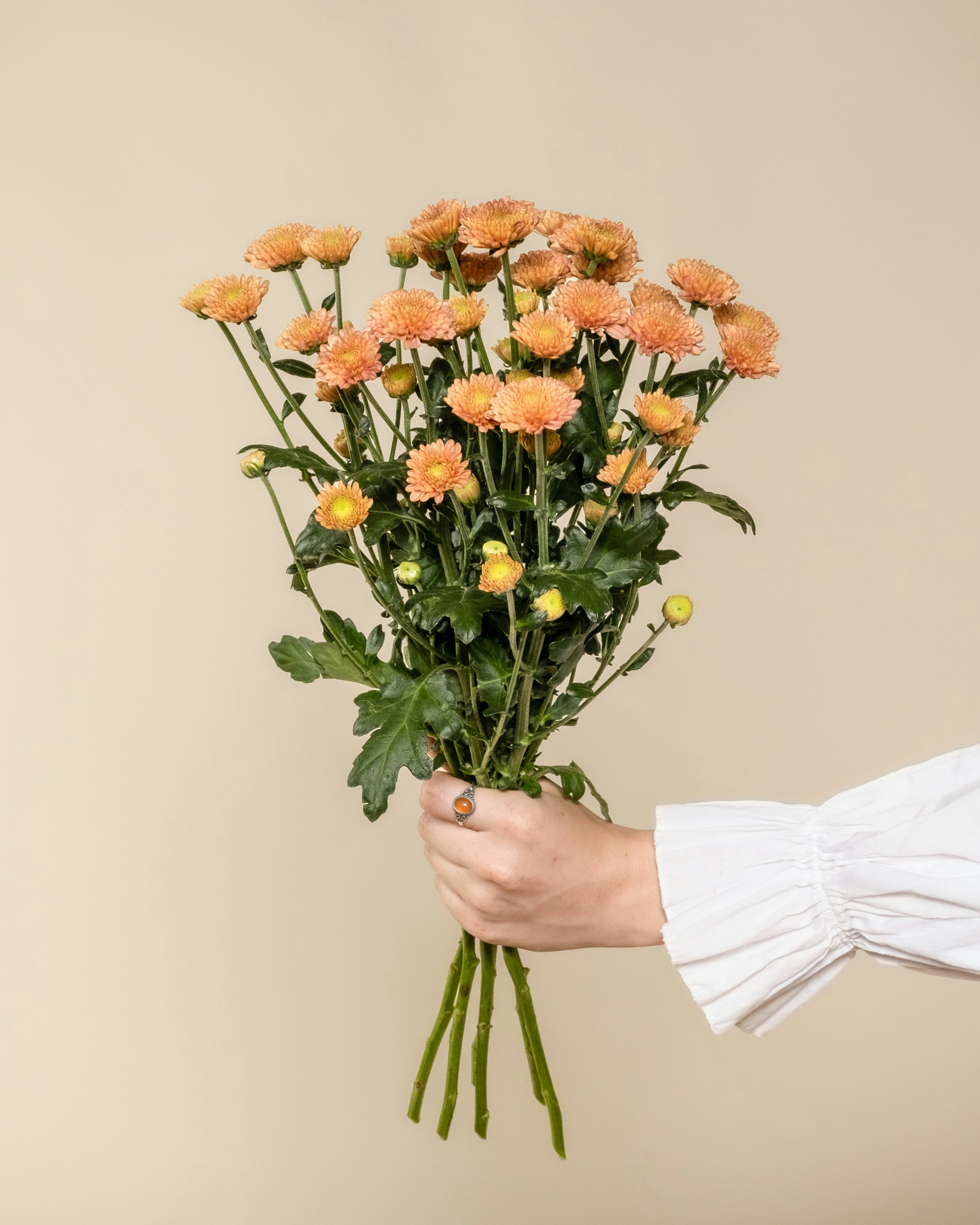 Photo by feeypflanzen