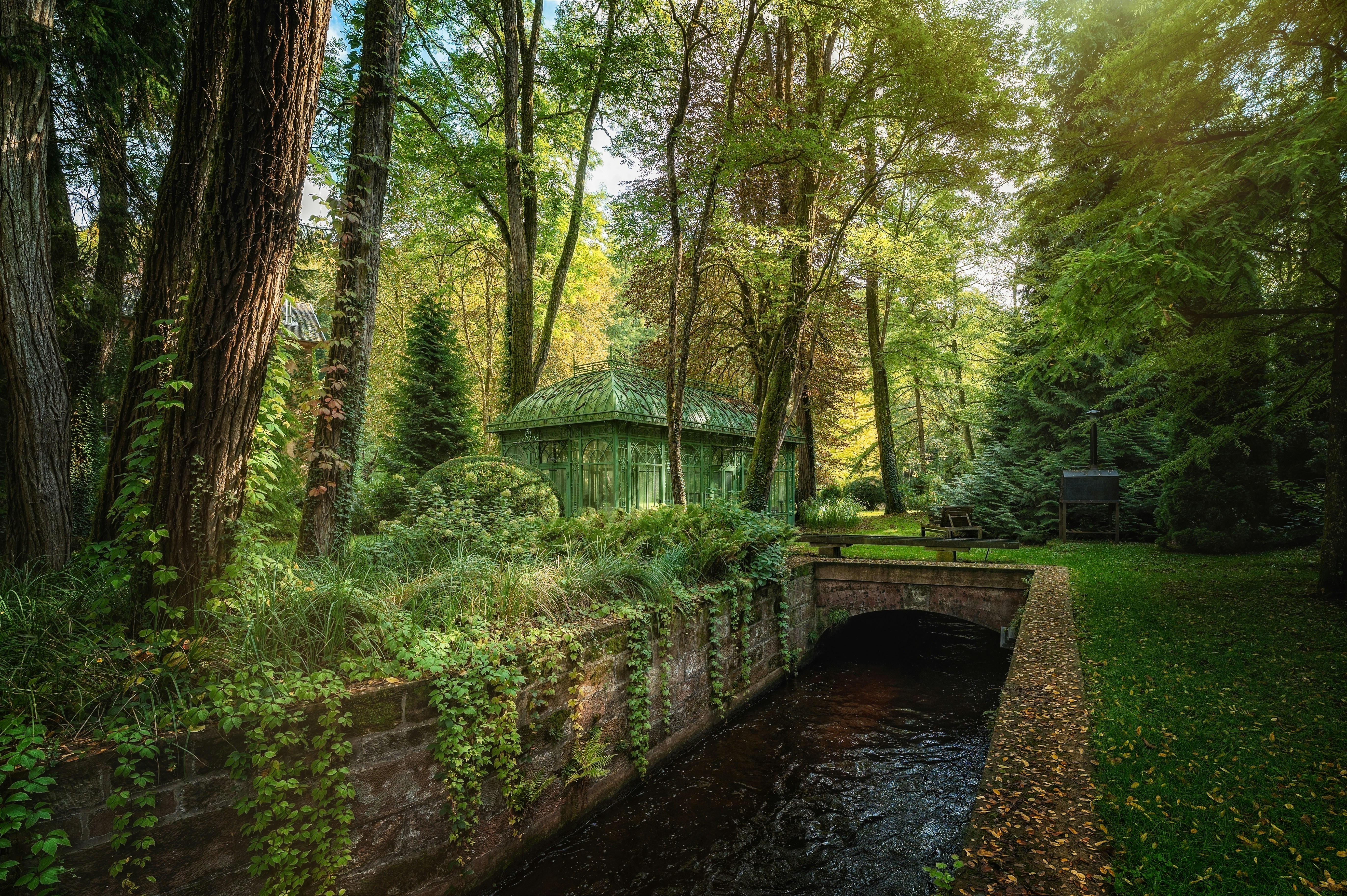 緑豊かな森の中を小さな小川が流れています。の写真 – Unsplashの森の