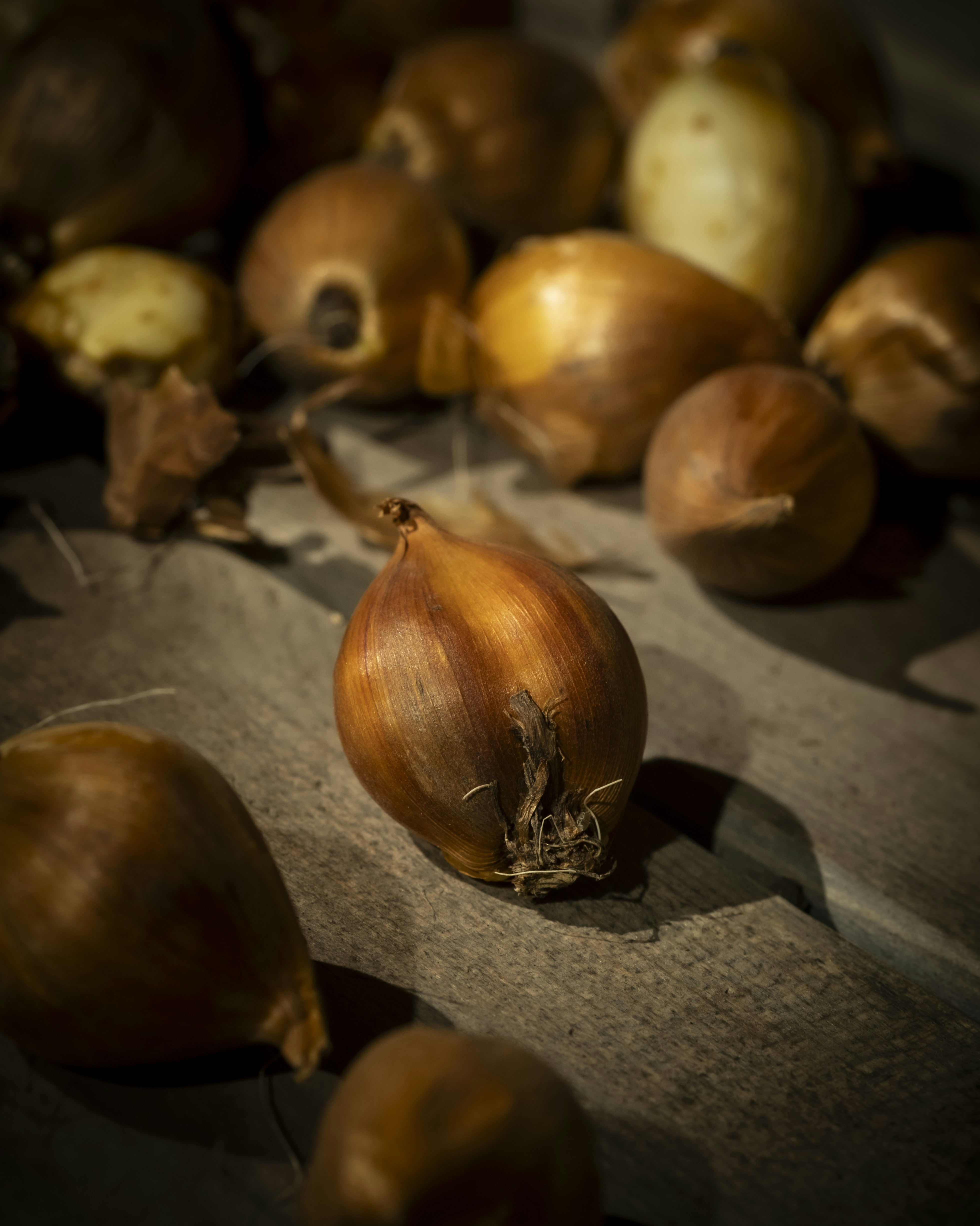 질감이 있는 표면에 샬롯 더미