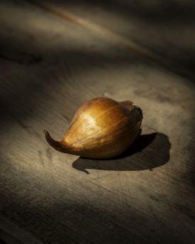 A single tulip bulb rests on a wooden surface.