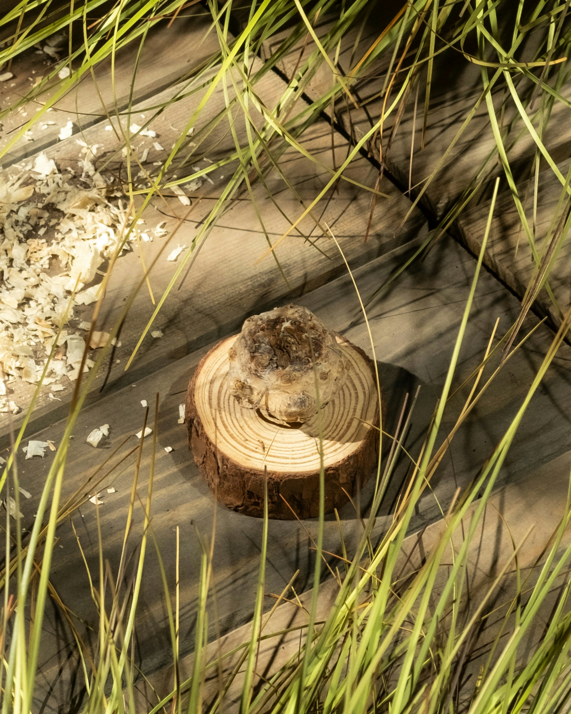 Kleine Holzscheibe mit Kristall auf verwitterten Dielen.