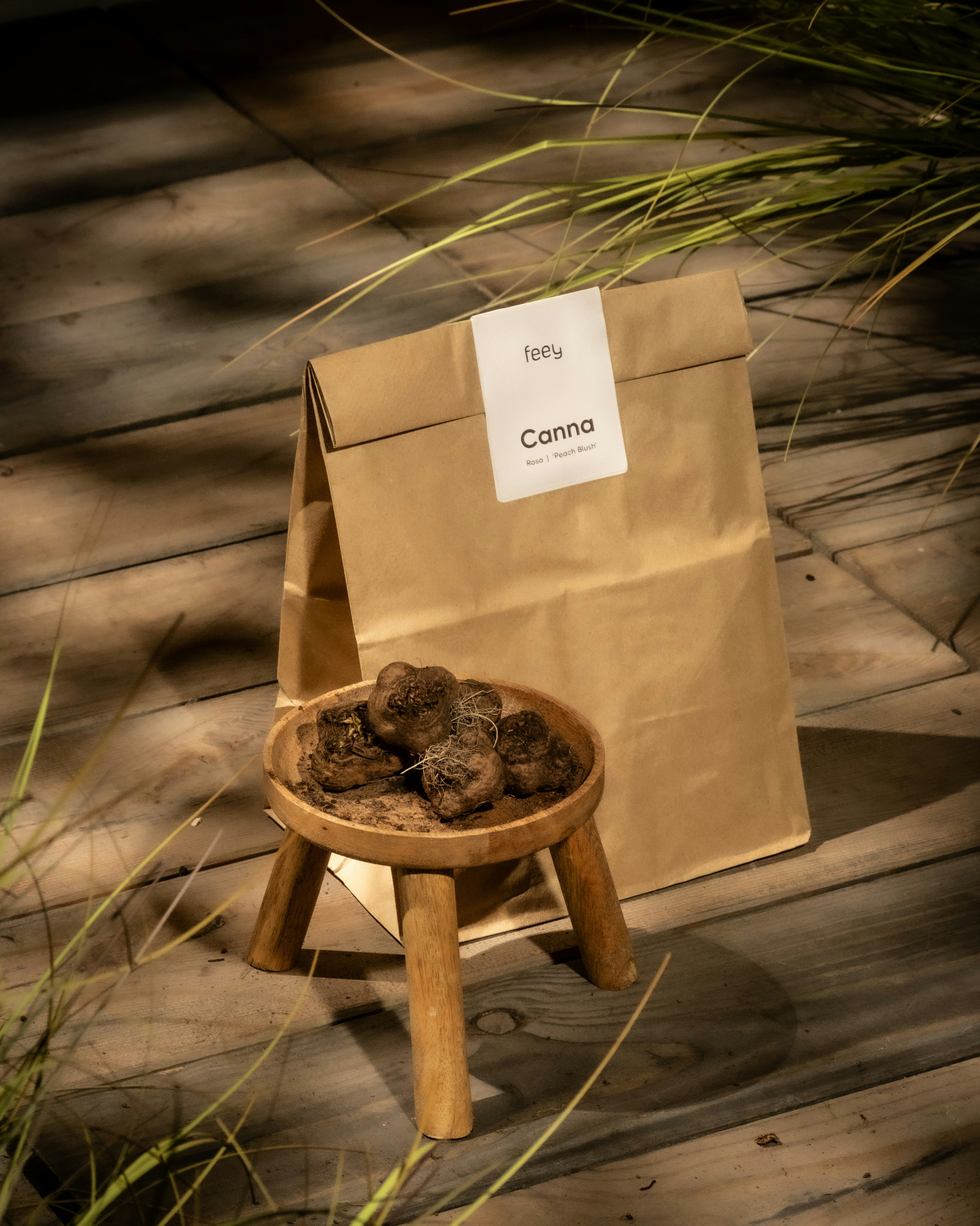 Braune Papiertüte mit Trüffeln auf einer Holzoberfläche.