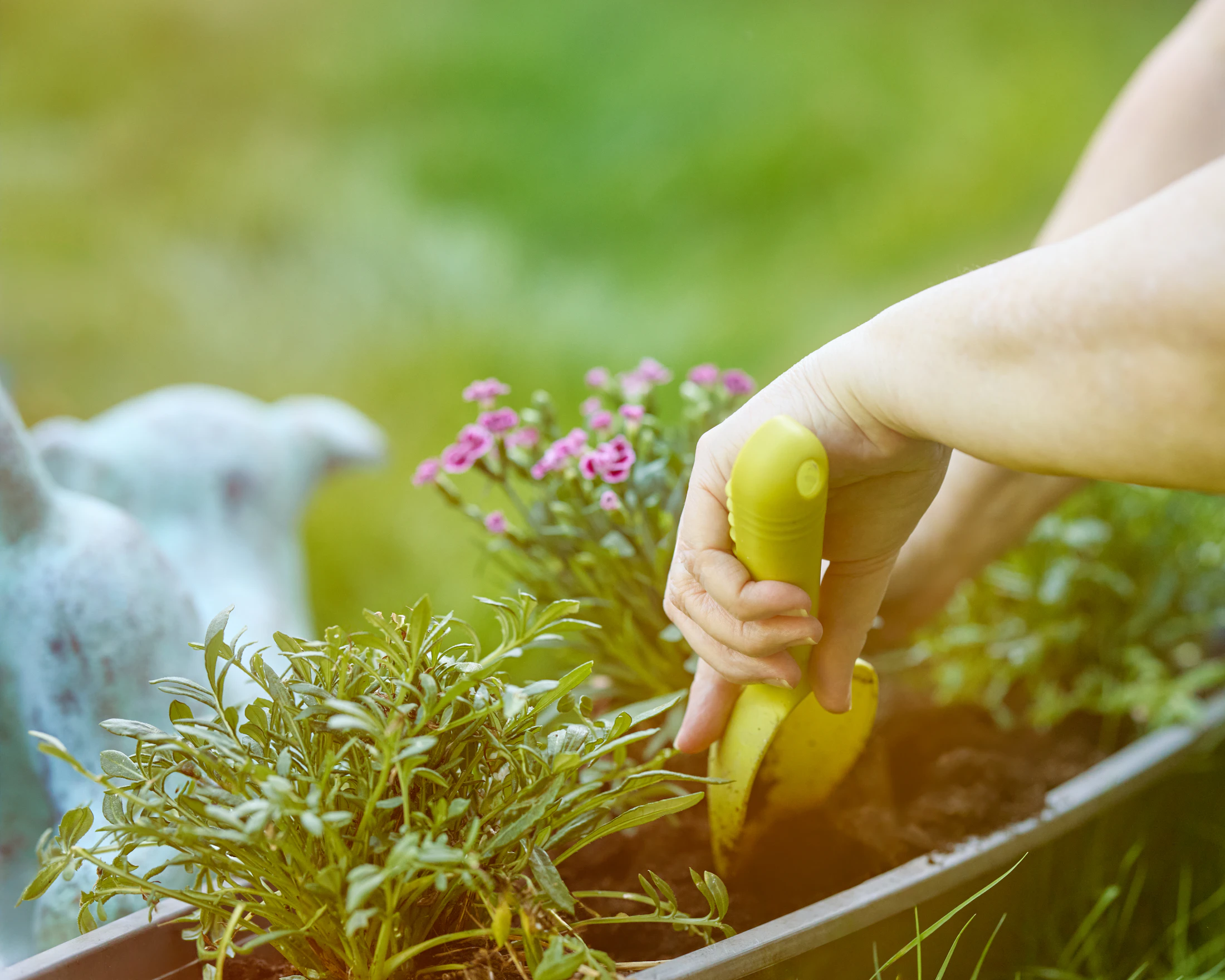 Detailed planting and garden landscape