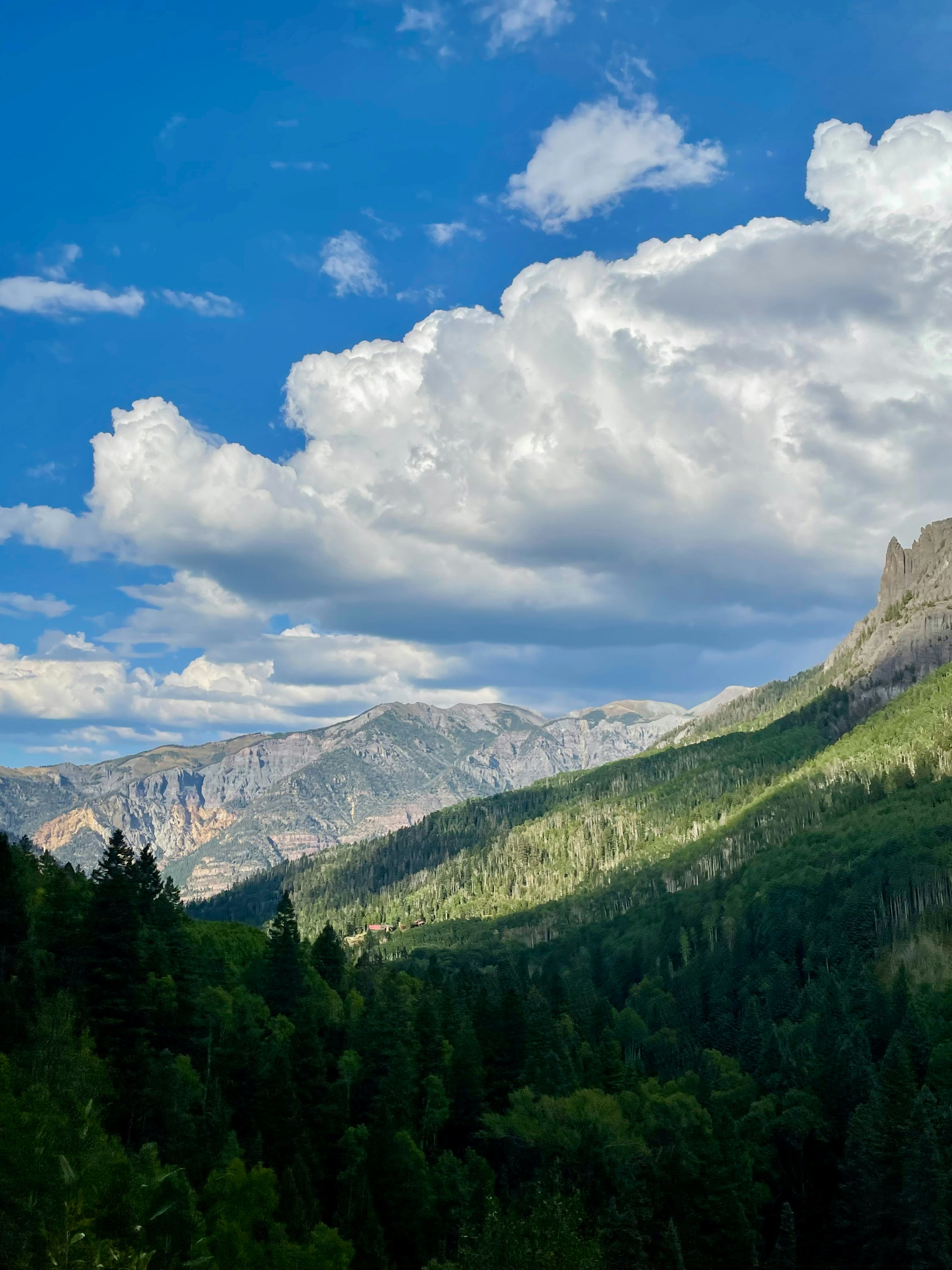 Photo by andresgavinbelson